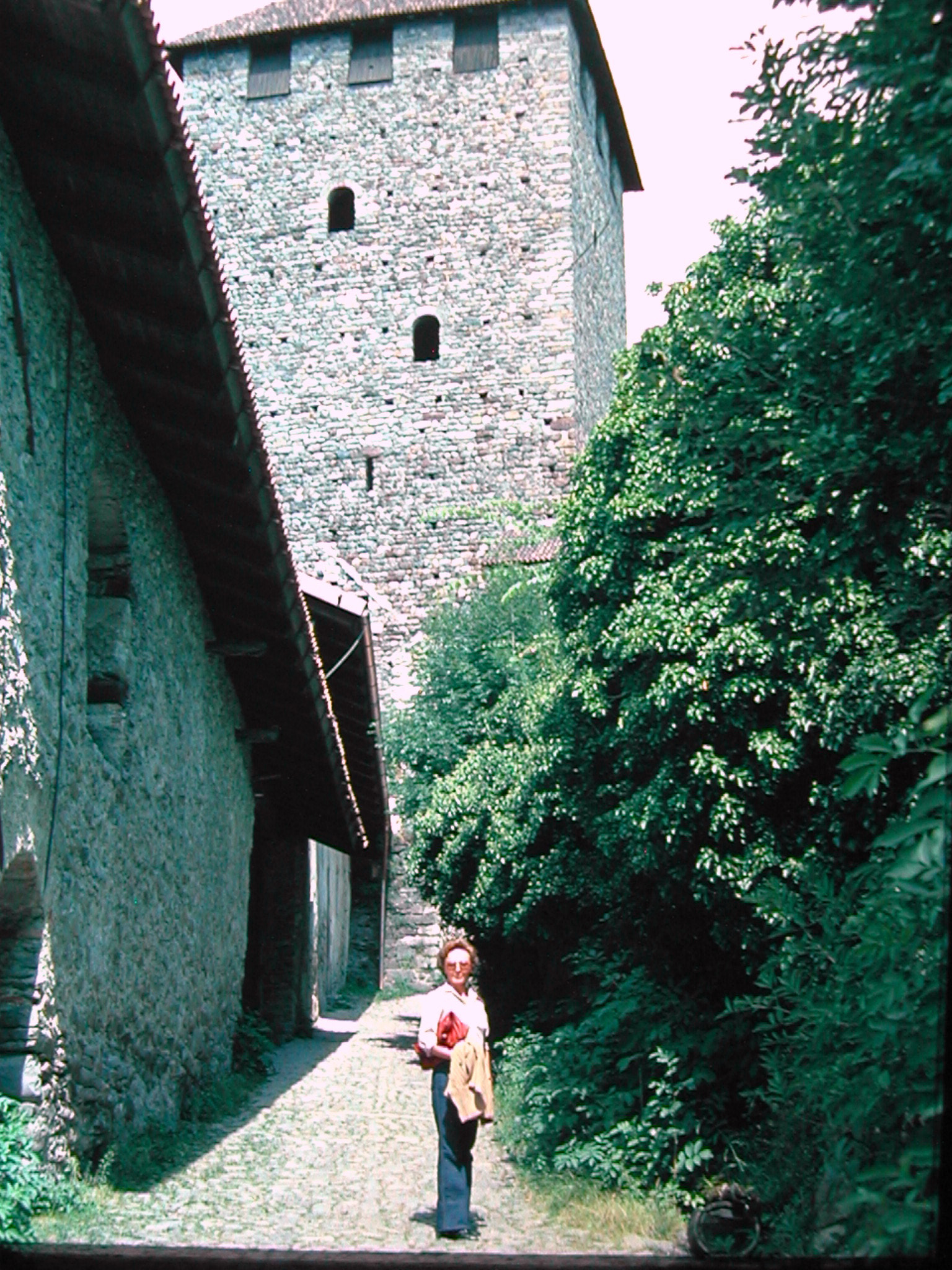 Nikon E885 sample photo. 1978  castel tirolo a.a. photography