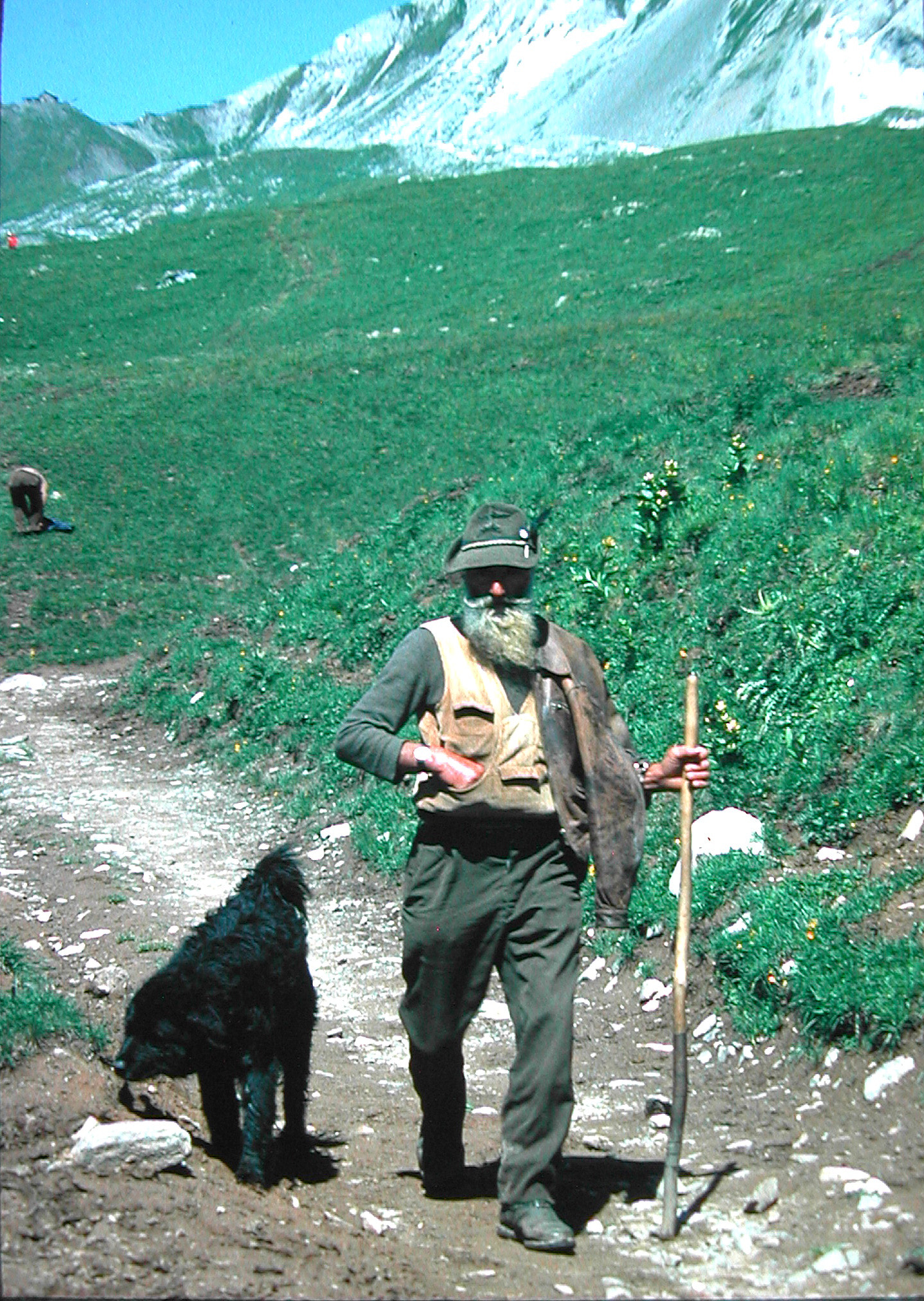 Nikon E885 sample photo. 1979 passo s.pellegrino agordino photography