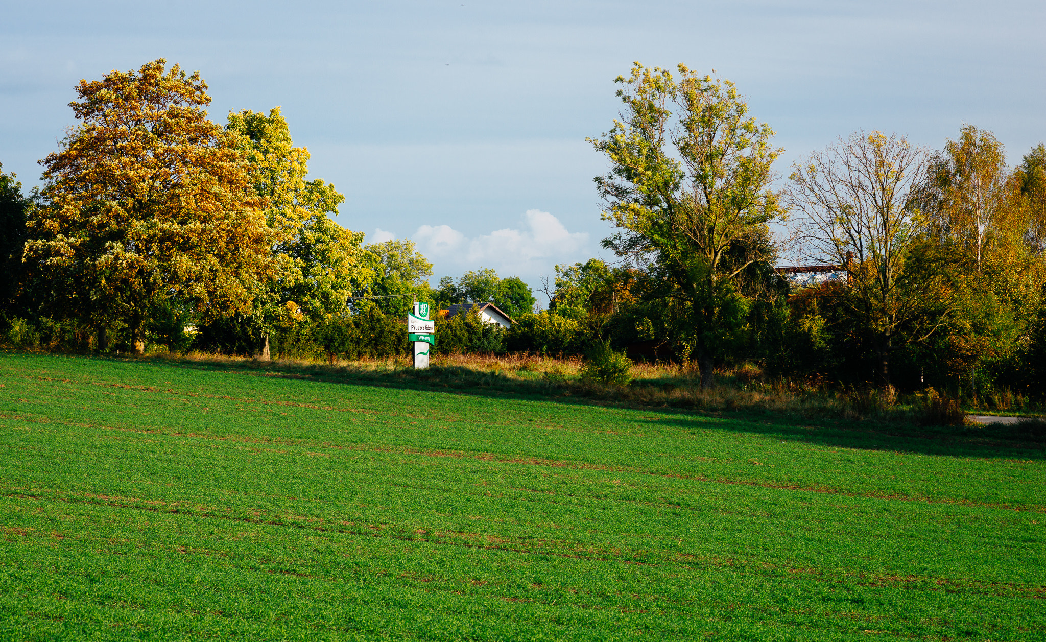 Nikon D800 sample photo. Pruszcz photography