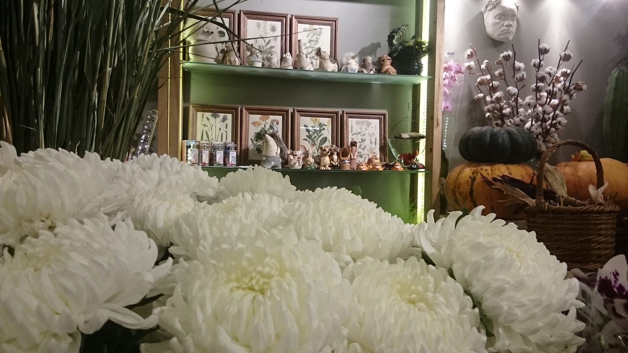 Sony Xperia Z Ultra sample photo. Amazing chrysanthemums in my boss flower salon  photography