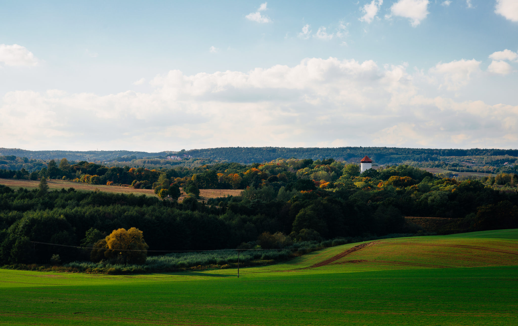 Nikon D800 + Tokina AT-X Pro 100mm F2.8 Macro sample photo. Hills photography