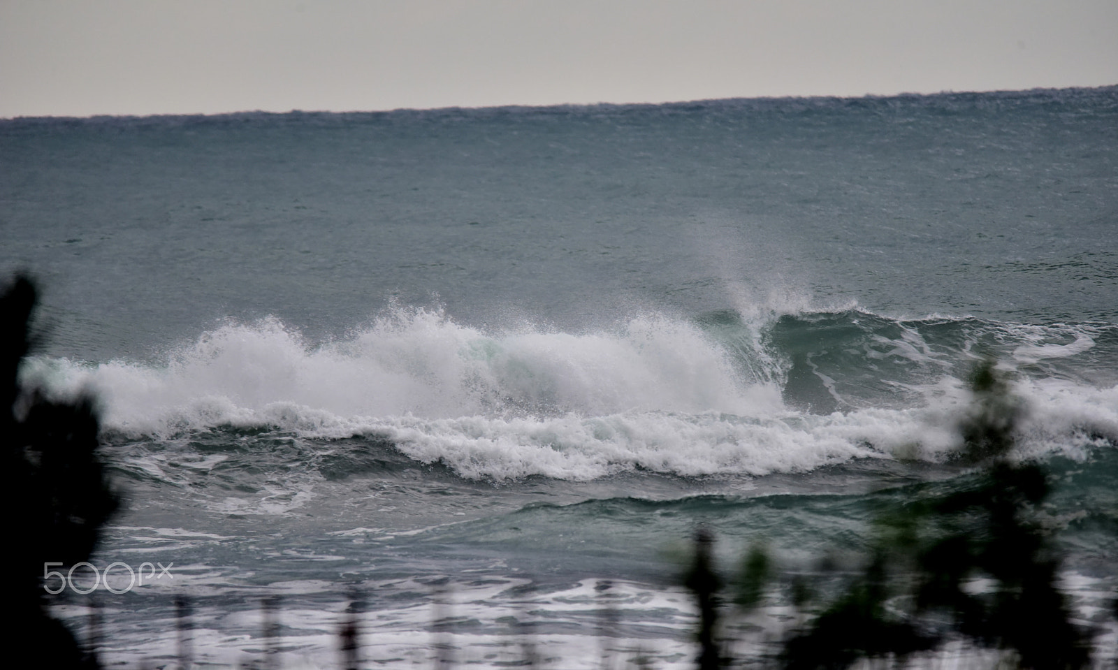 Sigma 150-500mm F5-6.3 DG OS HSM sample photo. By the sea photography