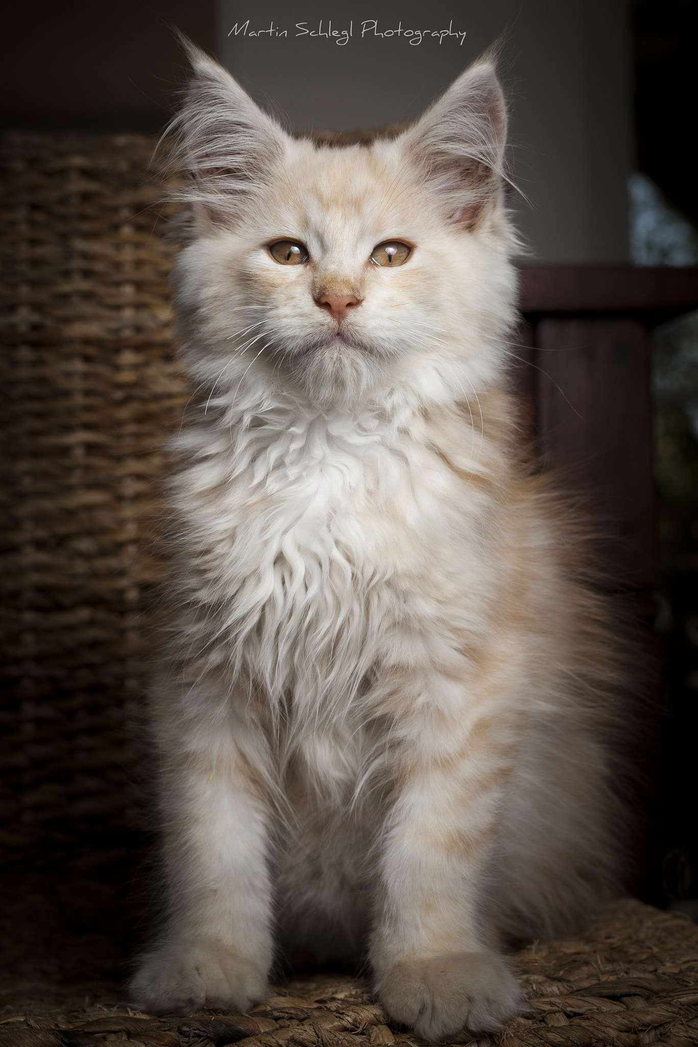 Canon EOS-1Ds Mark III sample photo. H photography