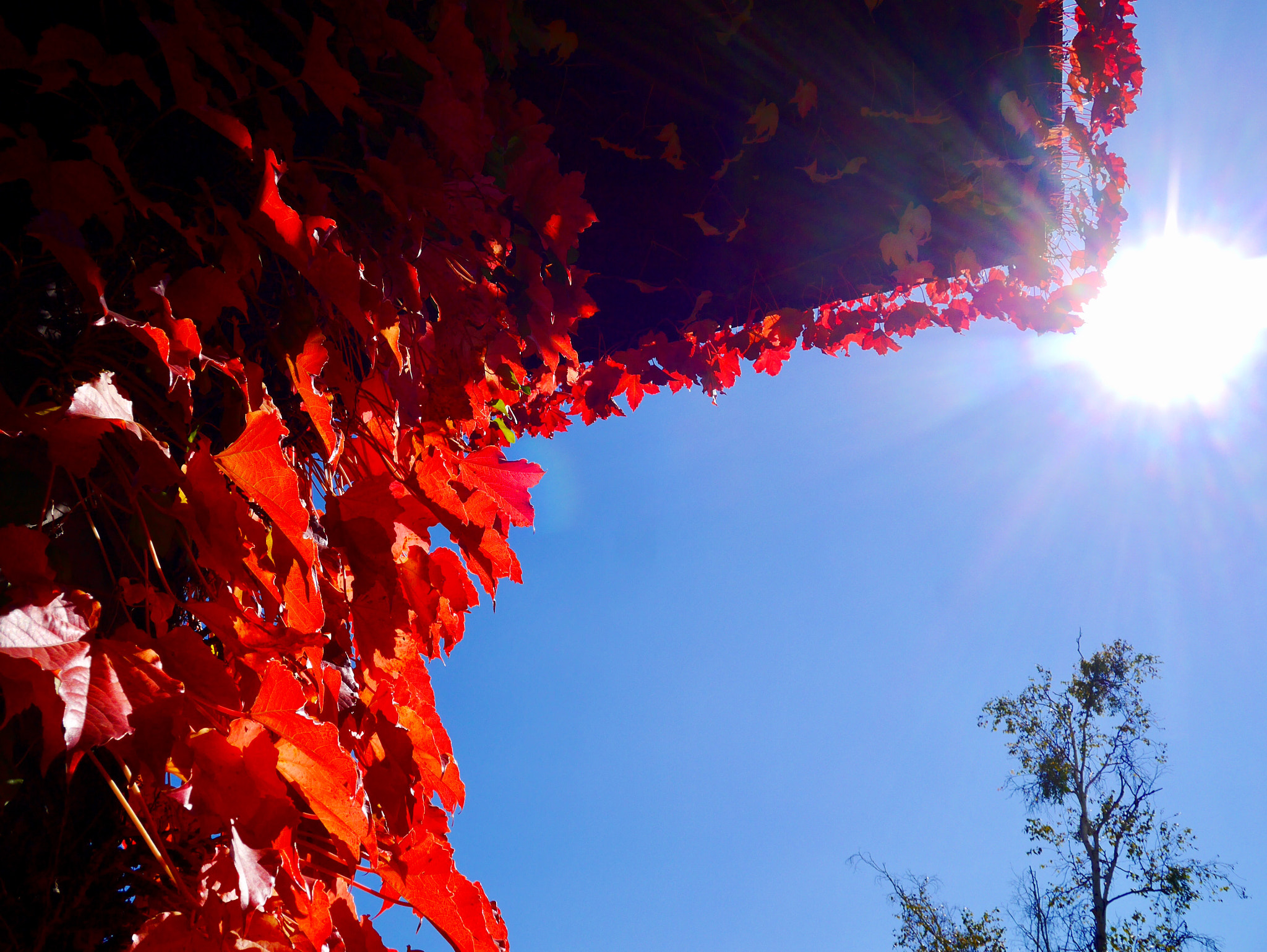 LUMIX G VARIO PZ 14-42/F3.5-5.6 sample photo. Red house photography