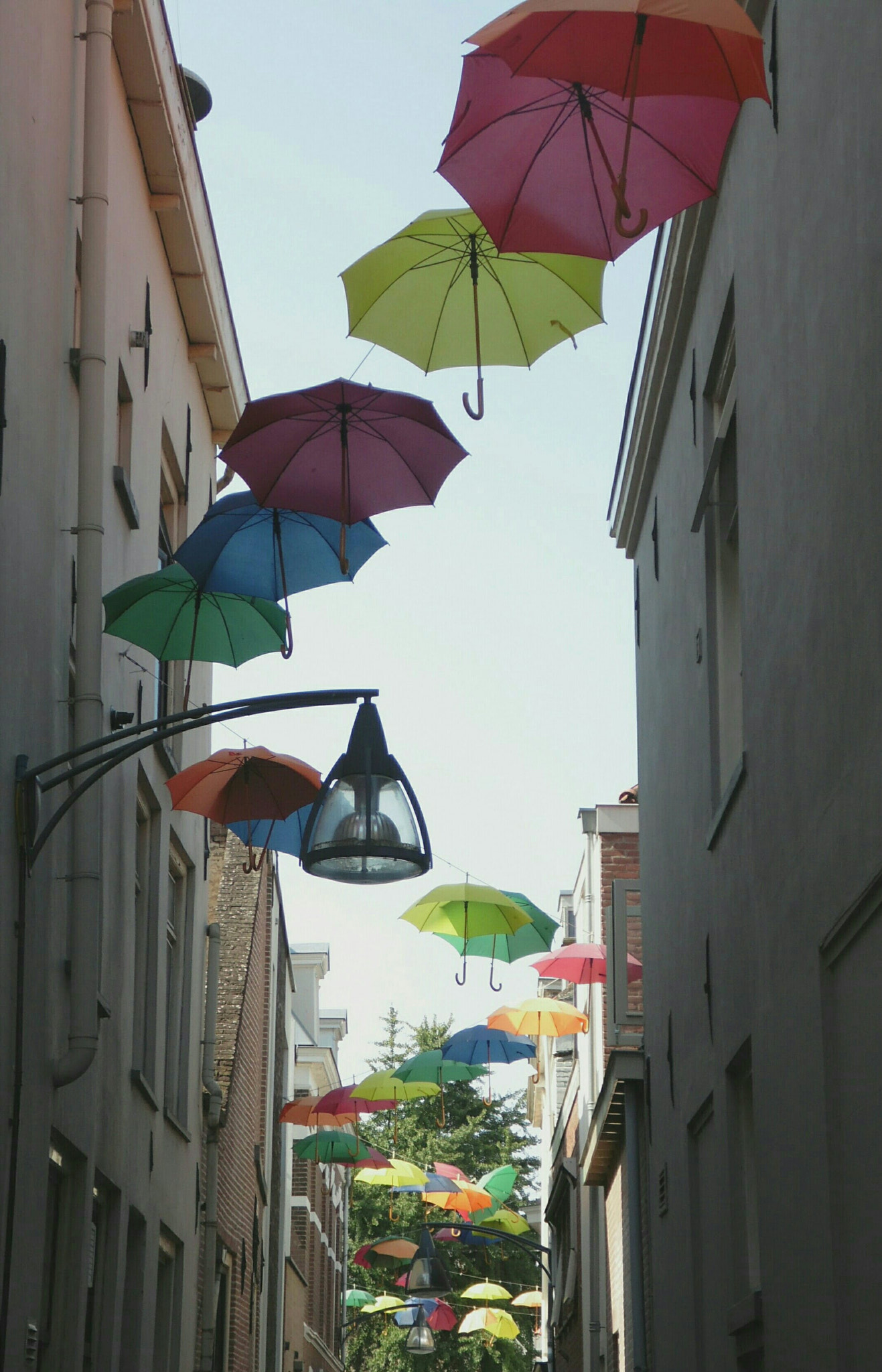 Samsung WB110/  WB111 sample photo. Unmbrella's street photography