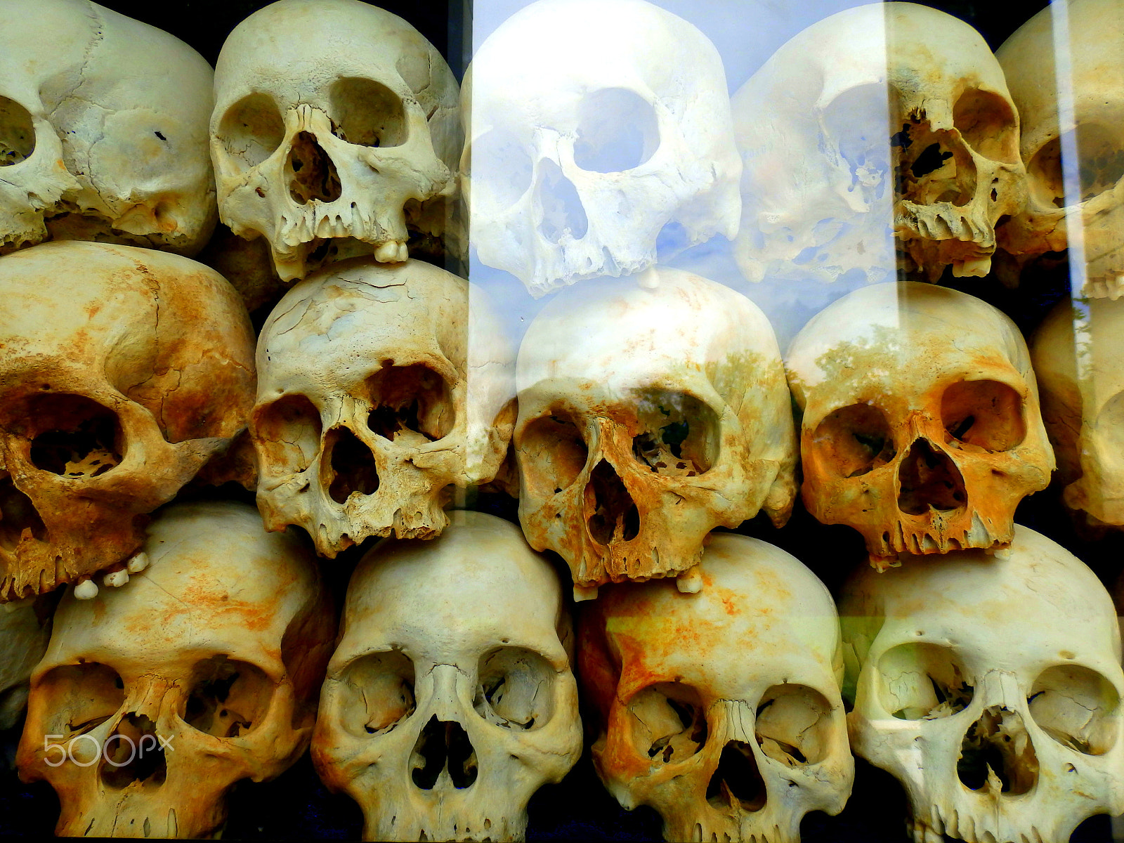 Olympus SZ-16,DZ-105 sample photo. Killing fields photography