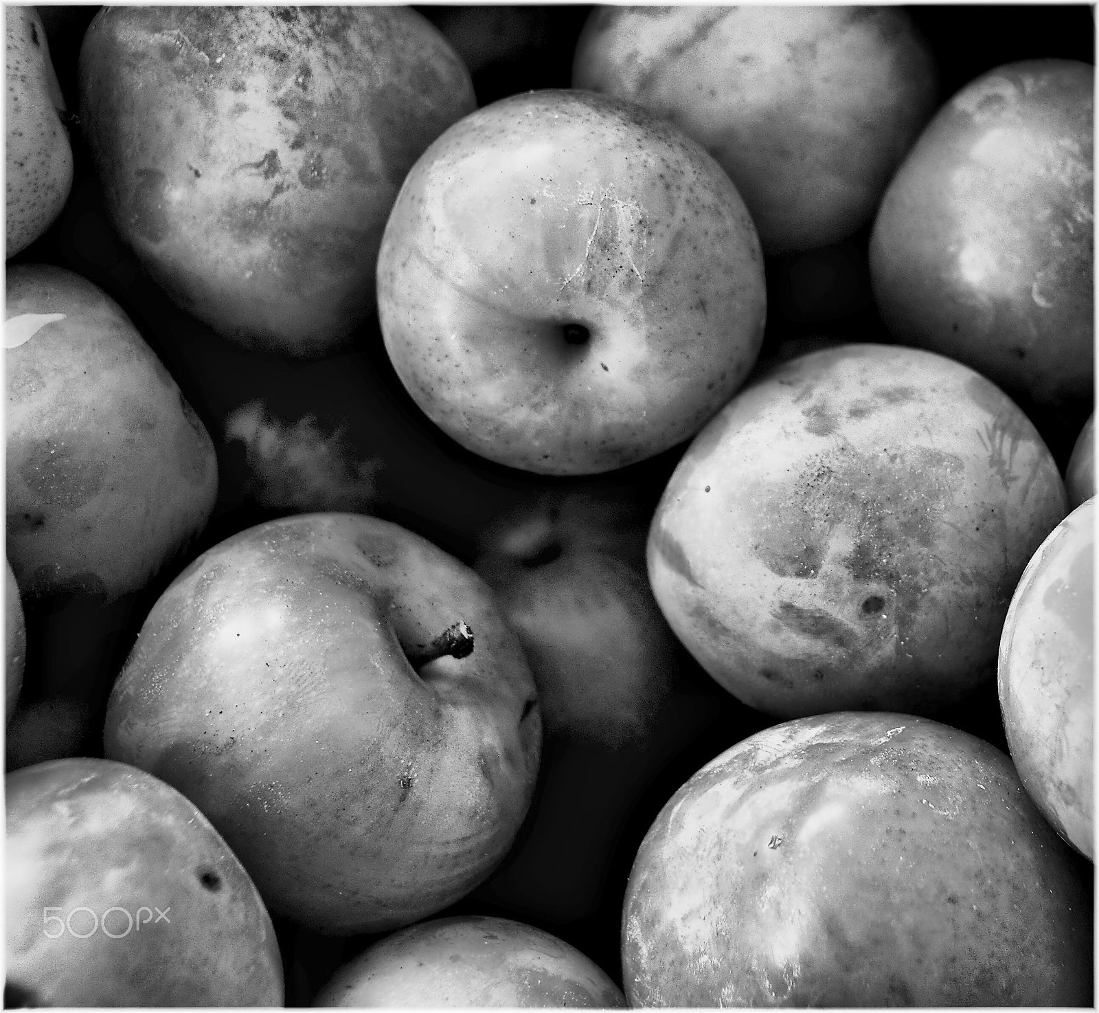 Samsung Pro 815 sample photo. Ciruelas photography