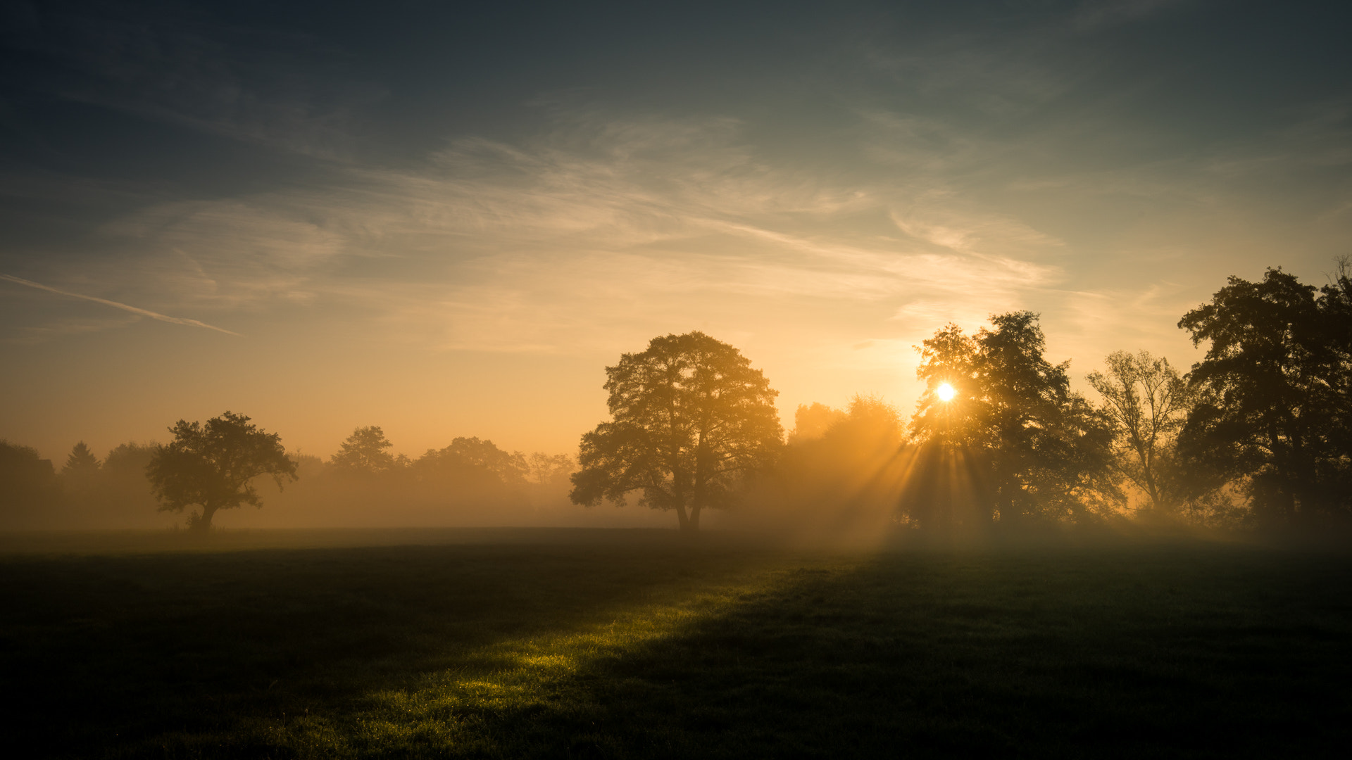 Sony a7R II + Canon EF 16-35mm F4L IS USM sample photo. Golden light photography