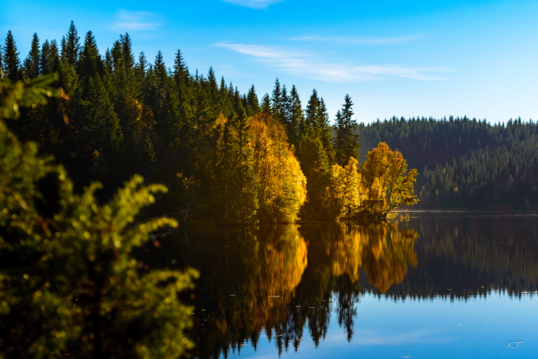 Nikon D610 + Nikon AF Micro-Nikkor 60mm F2.8D sample photo. Colors and reflection photography