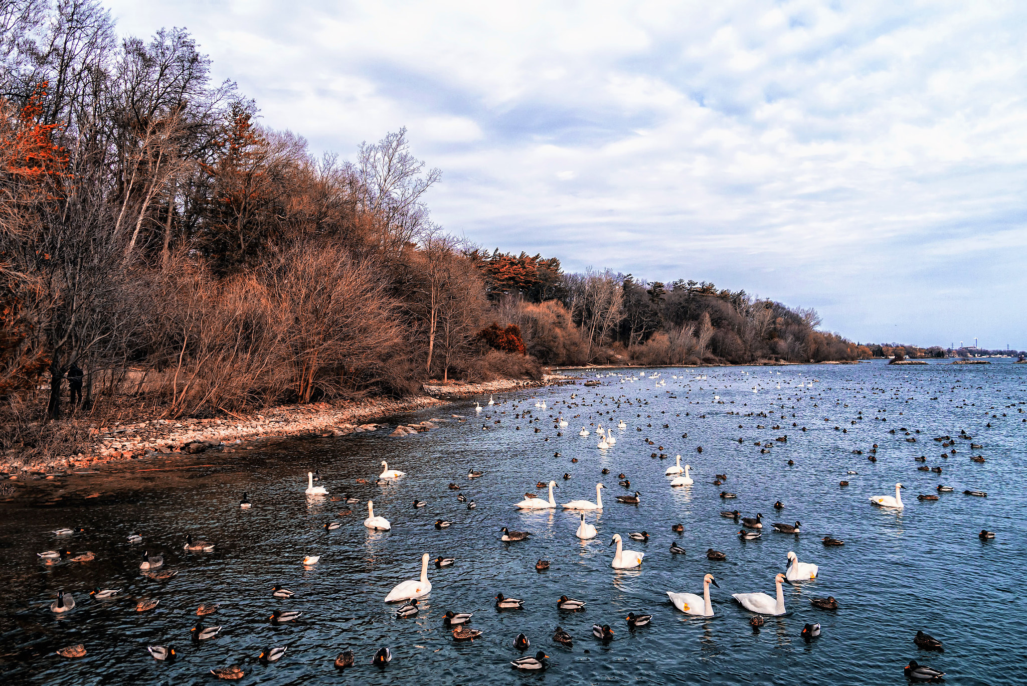 Panasonic Lumix DMC-GX1 sample photo. La salle park & marina photography