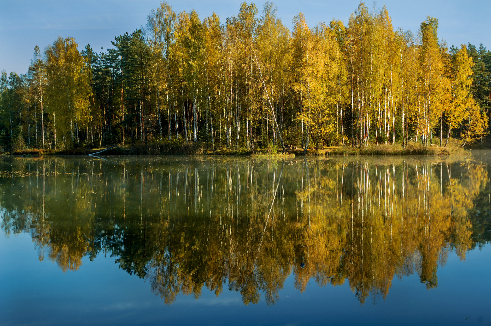 Nikon D70s + Sigma 28-105mm F2.8-4 Aspherical sample photo. Yellow water photography