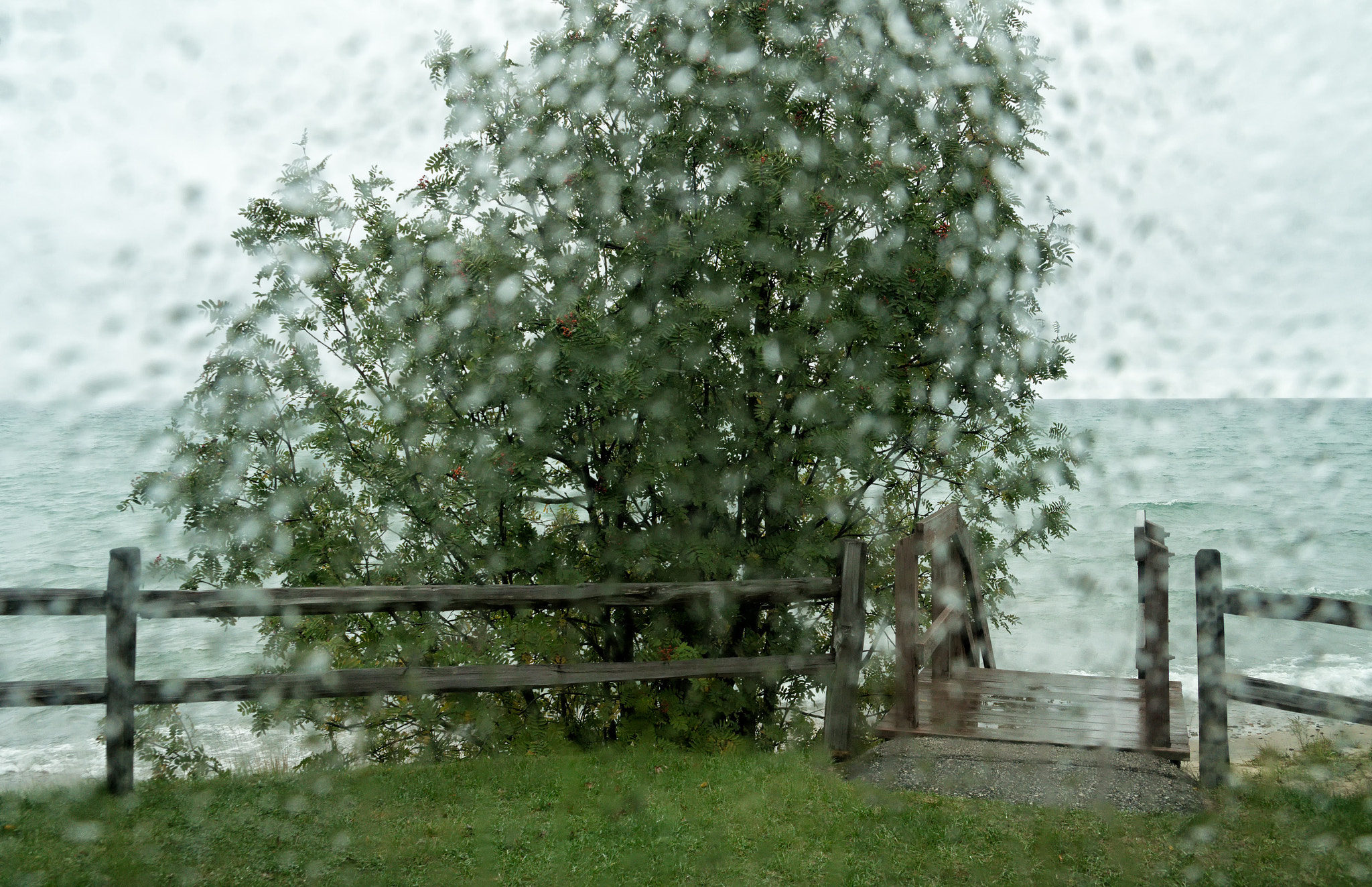 Sony E 18-200mm F3.5-6.3 OSS sample photo. 'for the sake of clarity ... ' photography