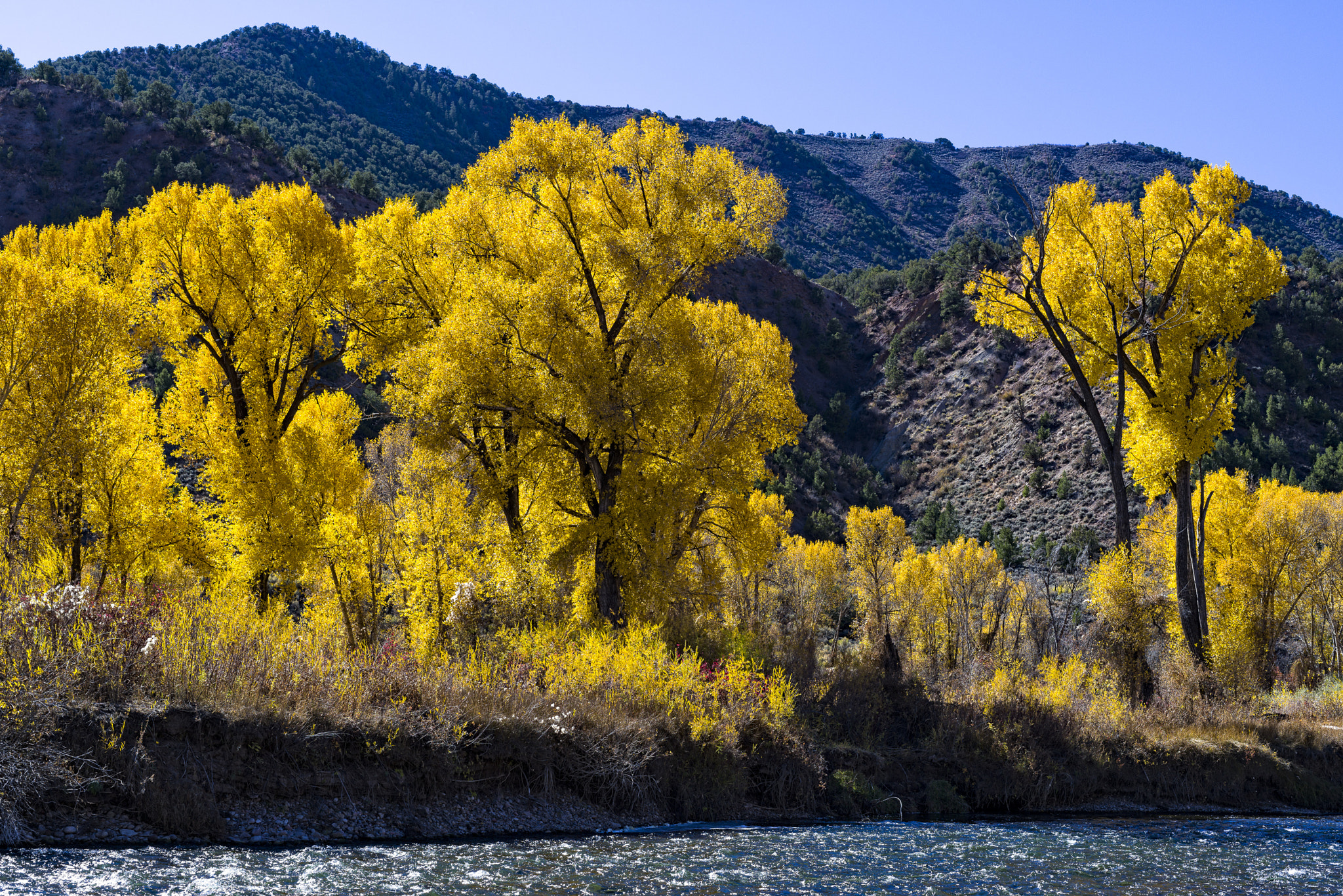 Sony a7R II + Sony FE 50mm F1.8 sample photo. Eagle river fall colors landscape scenic photography