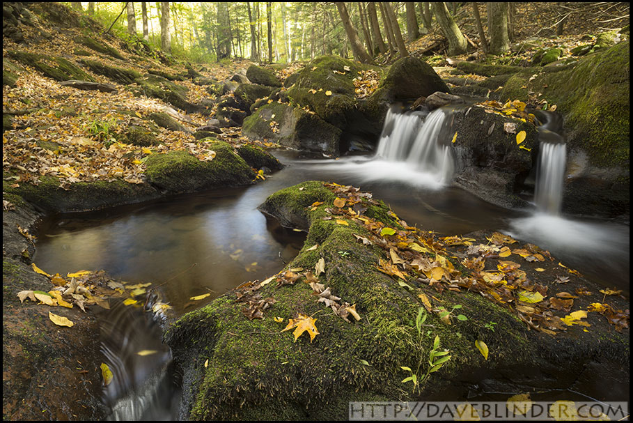 24-70mm F2.8 OSS sample photo. Van campen glen in autumn photography