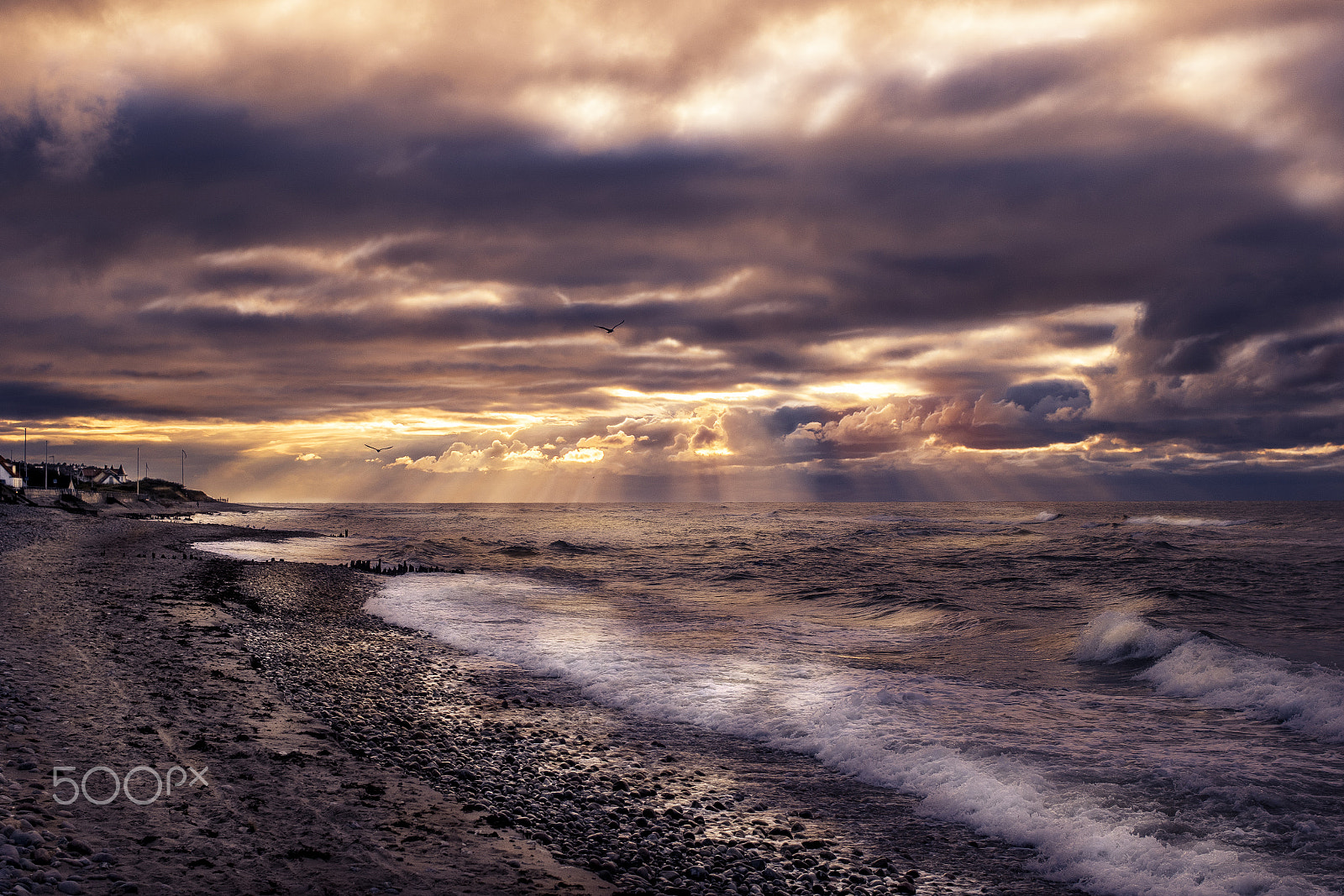 Canon EOS 7D Mark II + Canon EF 35mm F2 sample photo. Coast in denmark photography