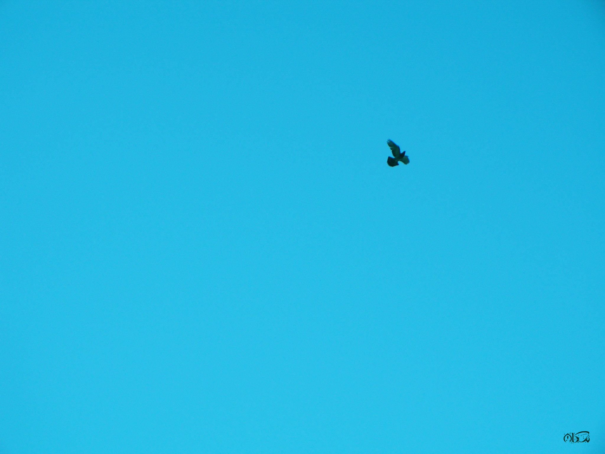 Canon POWERSHOT G6 sample photo. Free photography