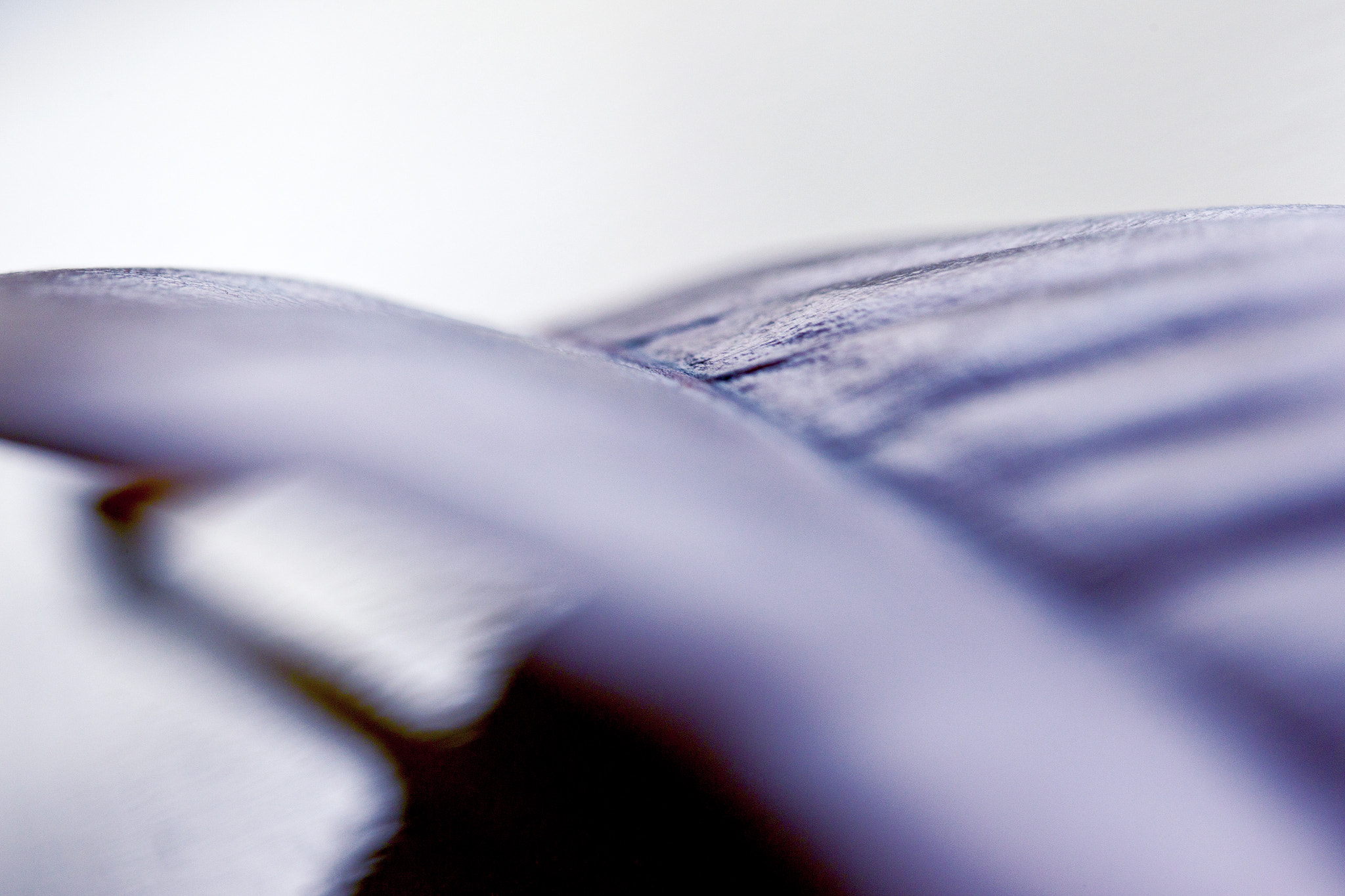 Canon EOS-1D Mark IV sample photo. Ready to fly photography