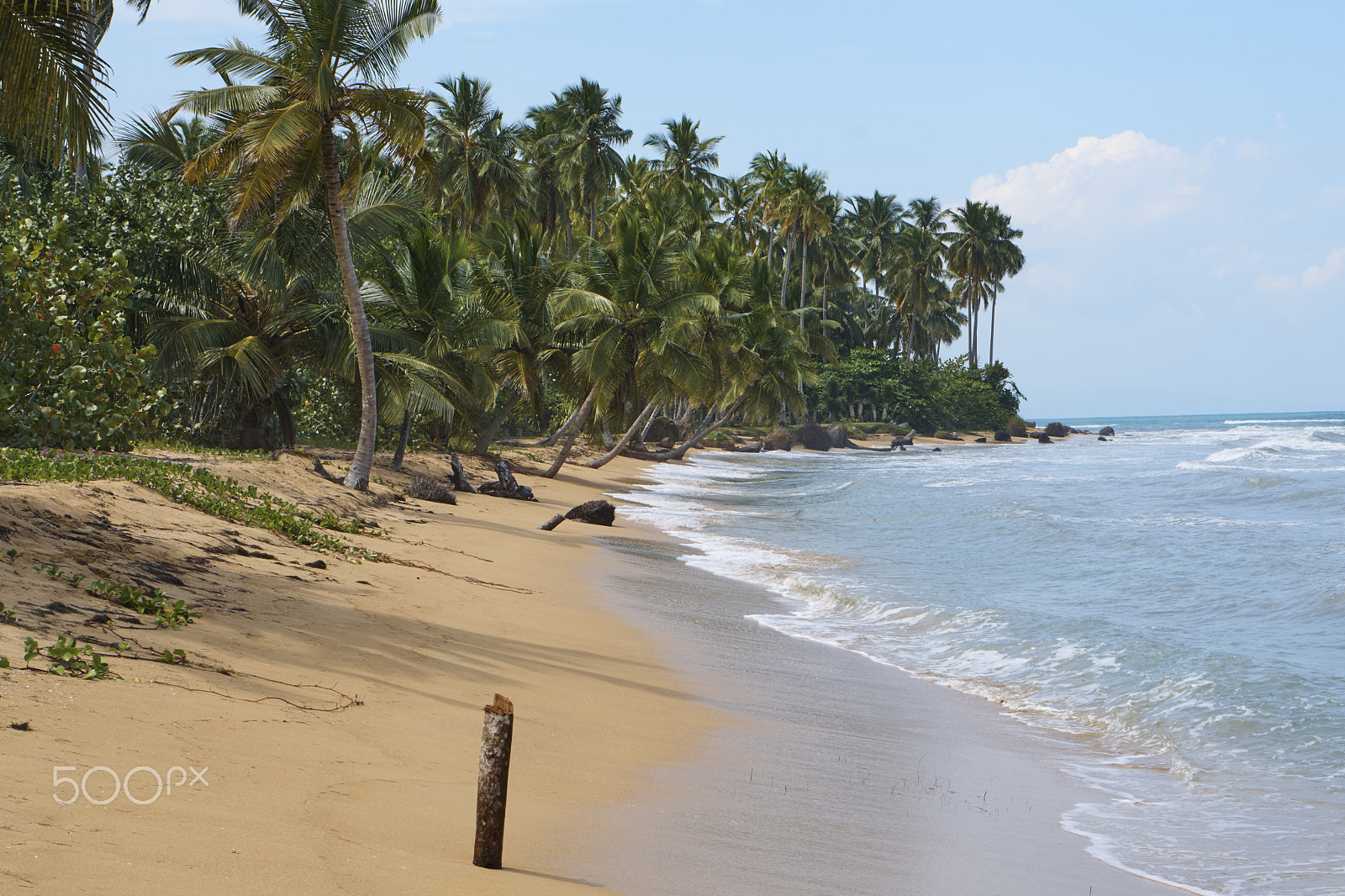 Sony E 50mm F1.8 OSS sample photo. Paradise beach samana playa coson photography