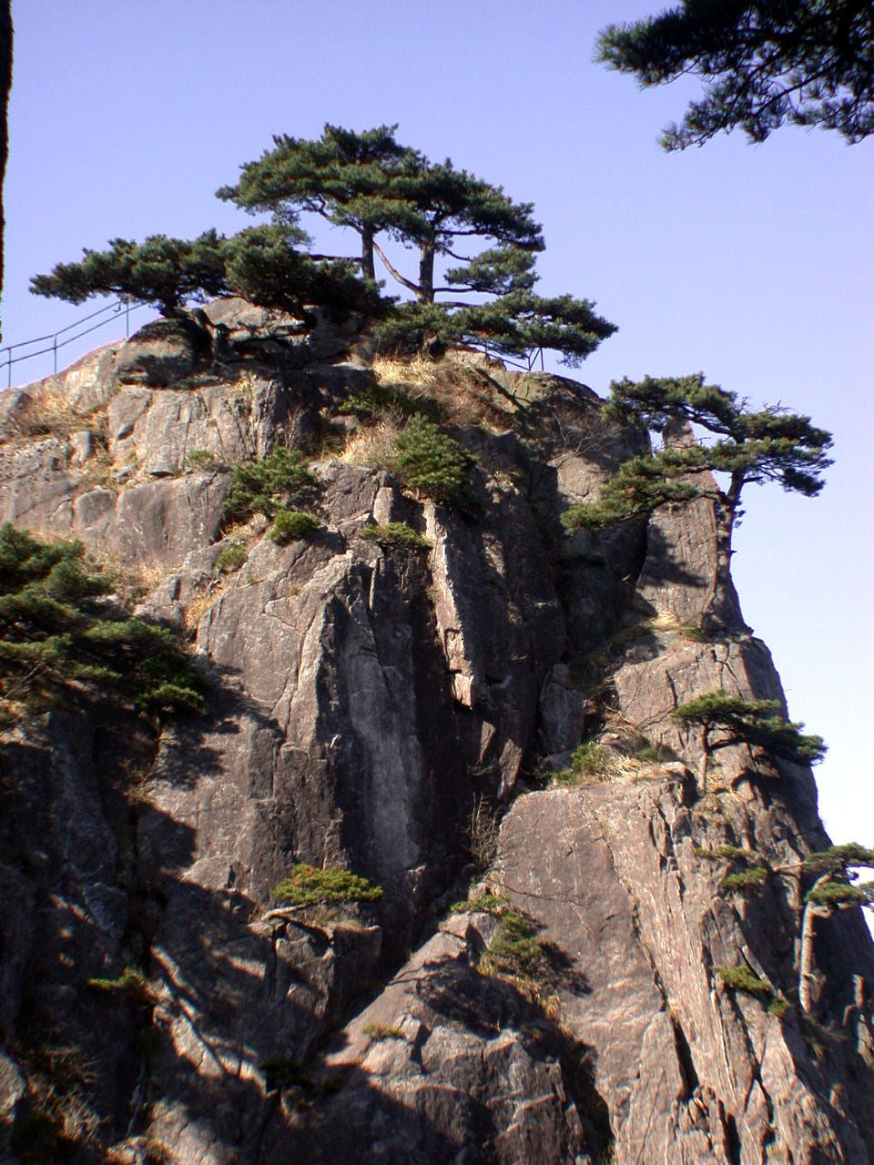 Nikon E995 sample photo. Trees in rock photography