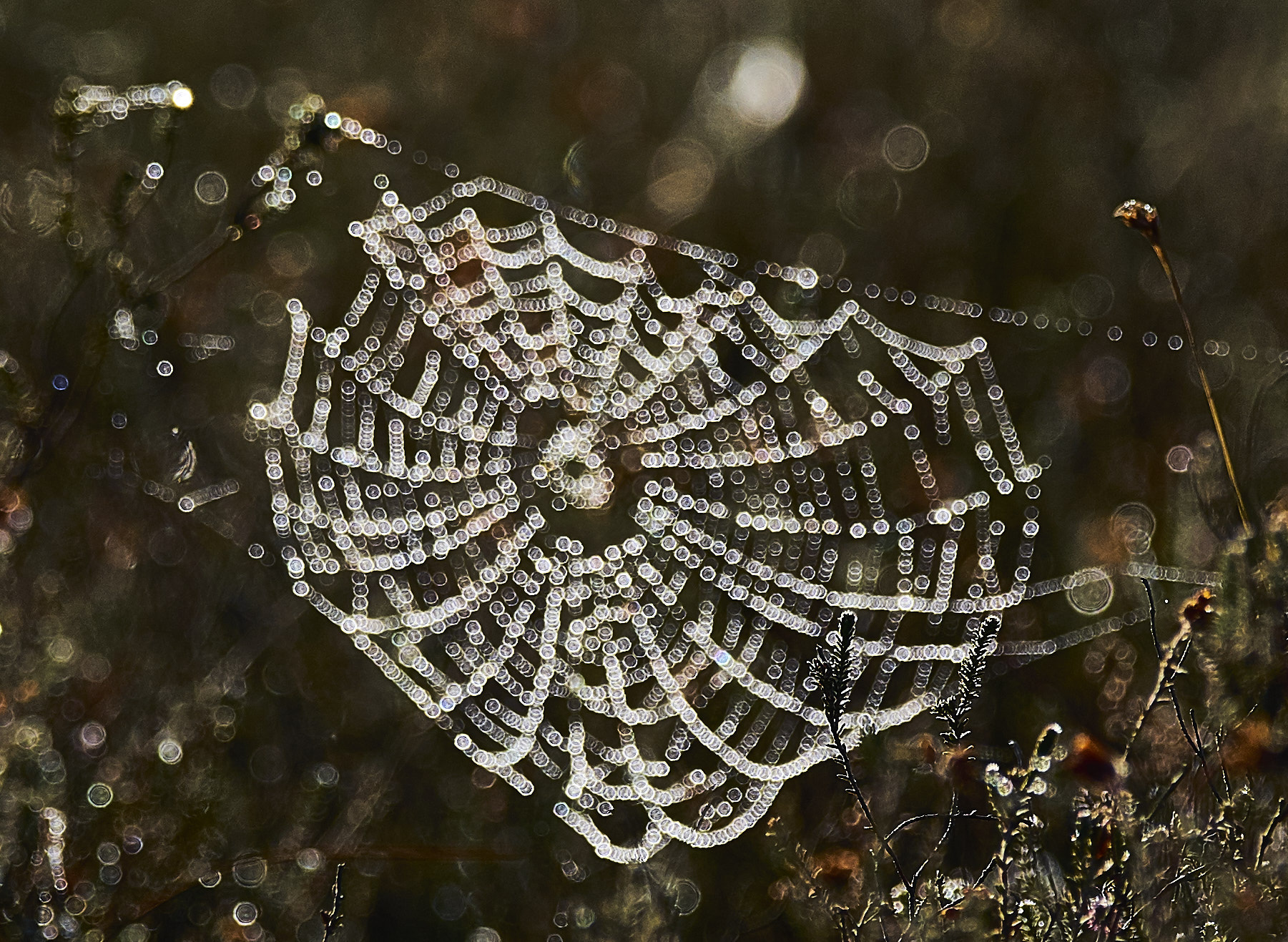 150-600mm F5-6.3 DG OS HSM | Contemporary 015 sample photo. Dots to lines photography
