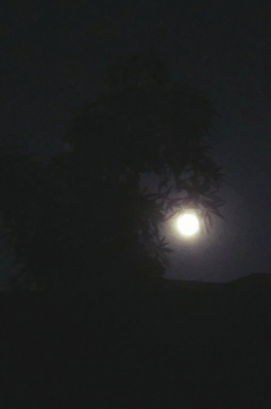 HTC ONE M8S sample photo. Night of the full moon photography