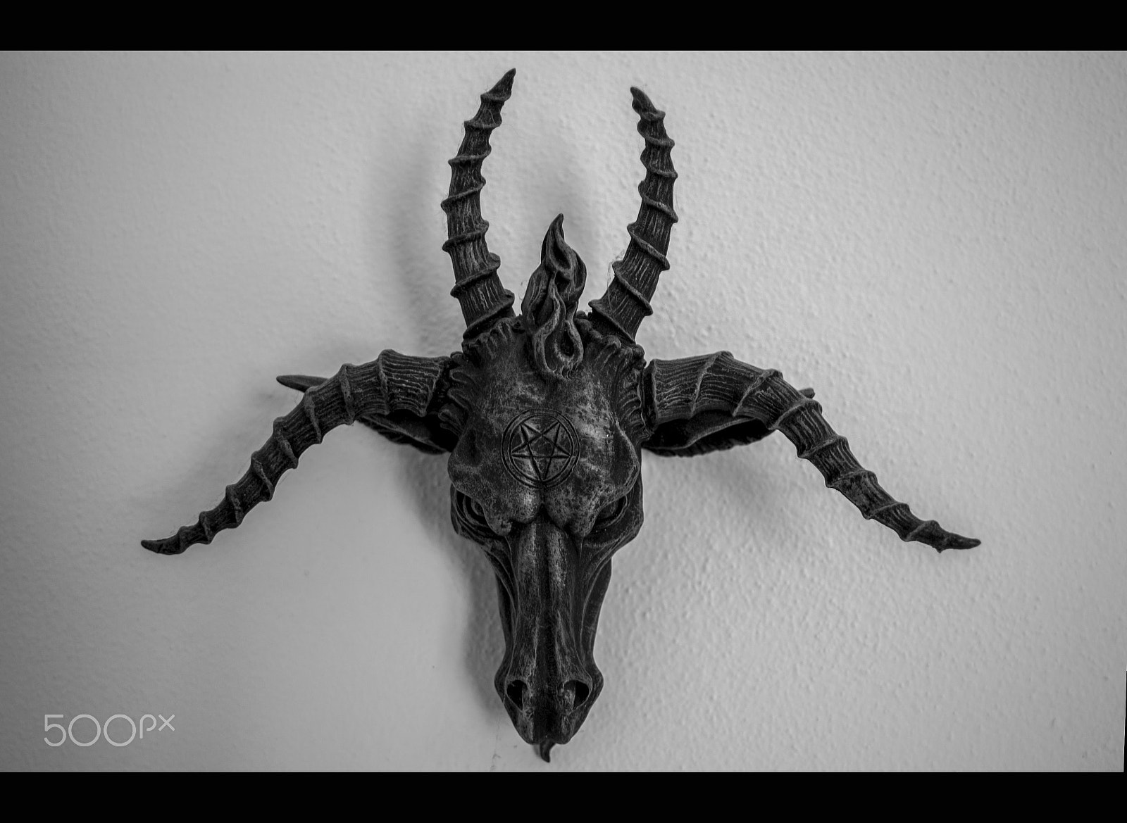 Canon EF-S 24mm F2.8 STM sample photo. Img photography