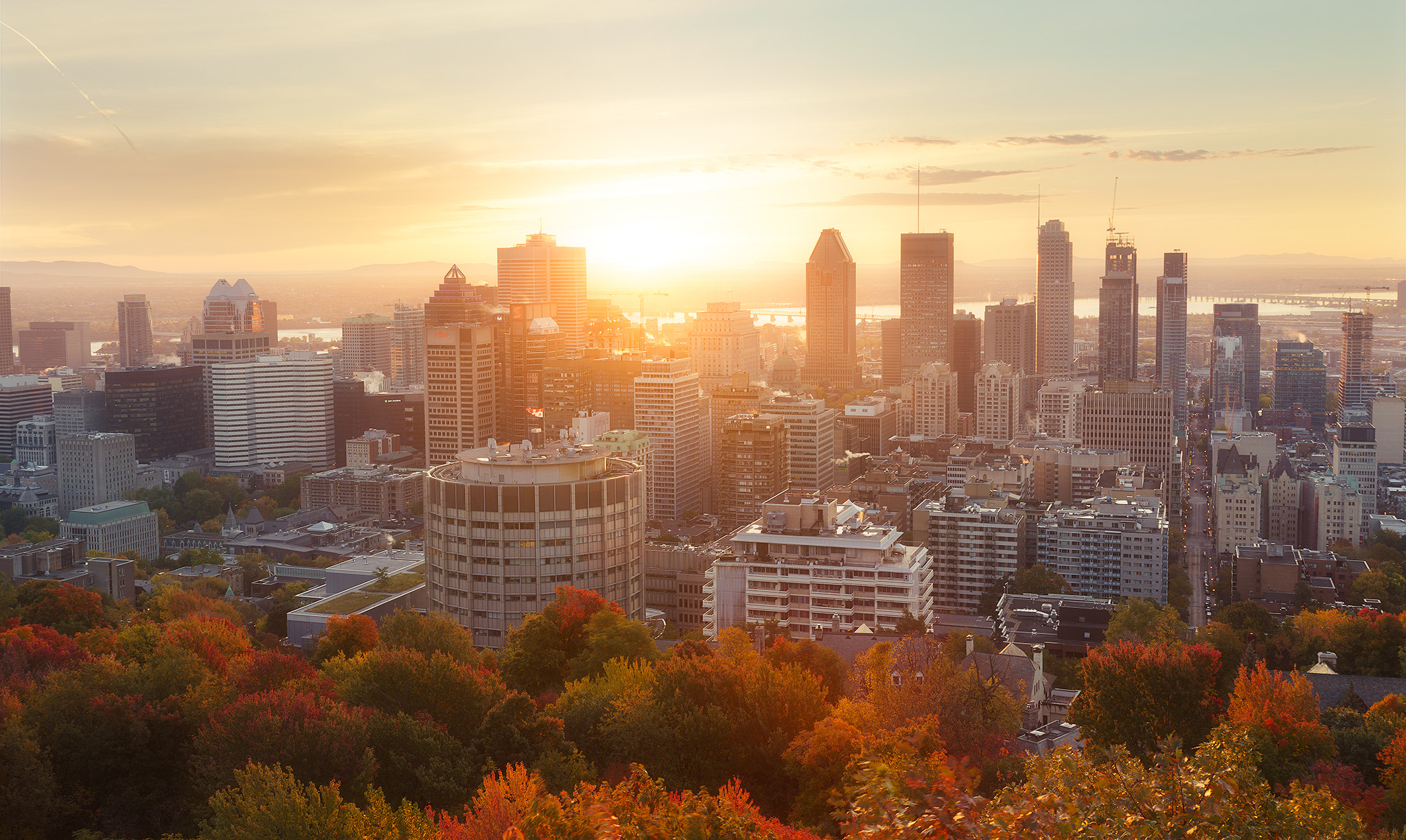 Sony a7R II + Tamron SP 24-70mm F2.8 Di VC USD sample photo. Bon matin de montréal photography