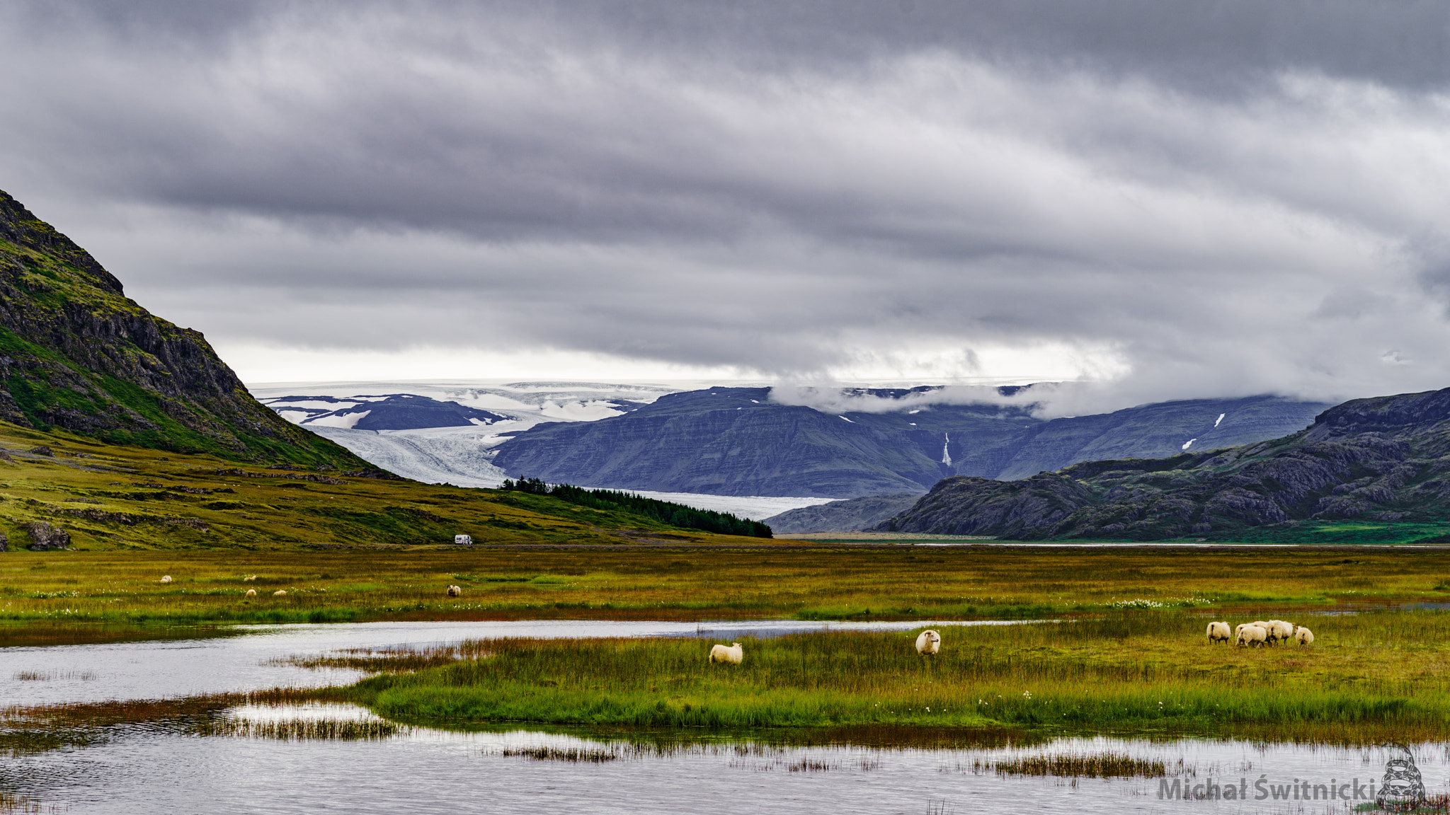 Pentax K-1 sample photo. Serene icelandic glacial meadow and sheep photography
