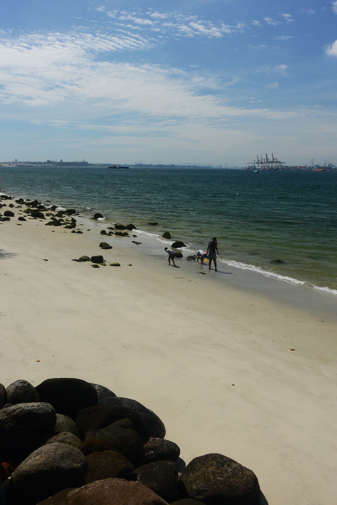 Nikon 1 V2 sample photo. Punggol promenade nature walk. photography