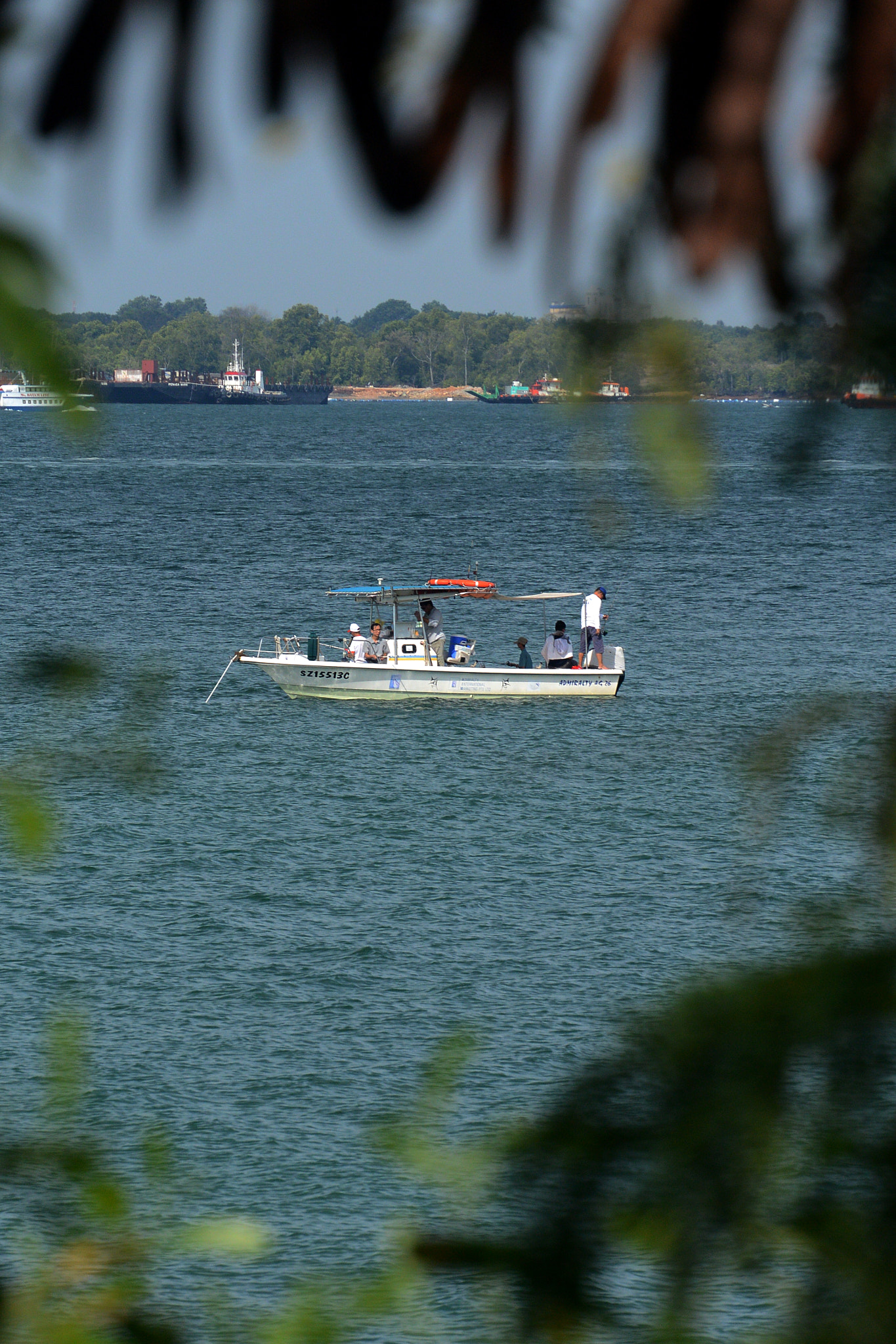 Nikon 1 V2 sample photo. Punggol promenade nature walk. photography