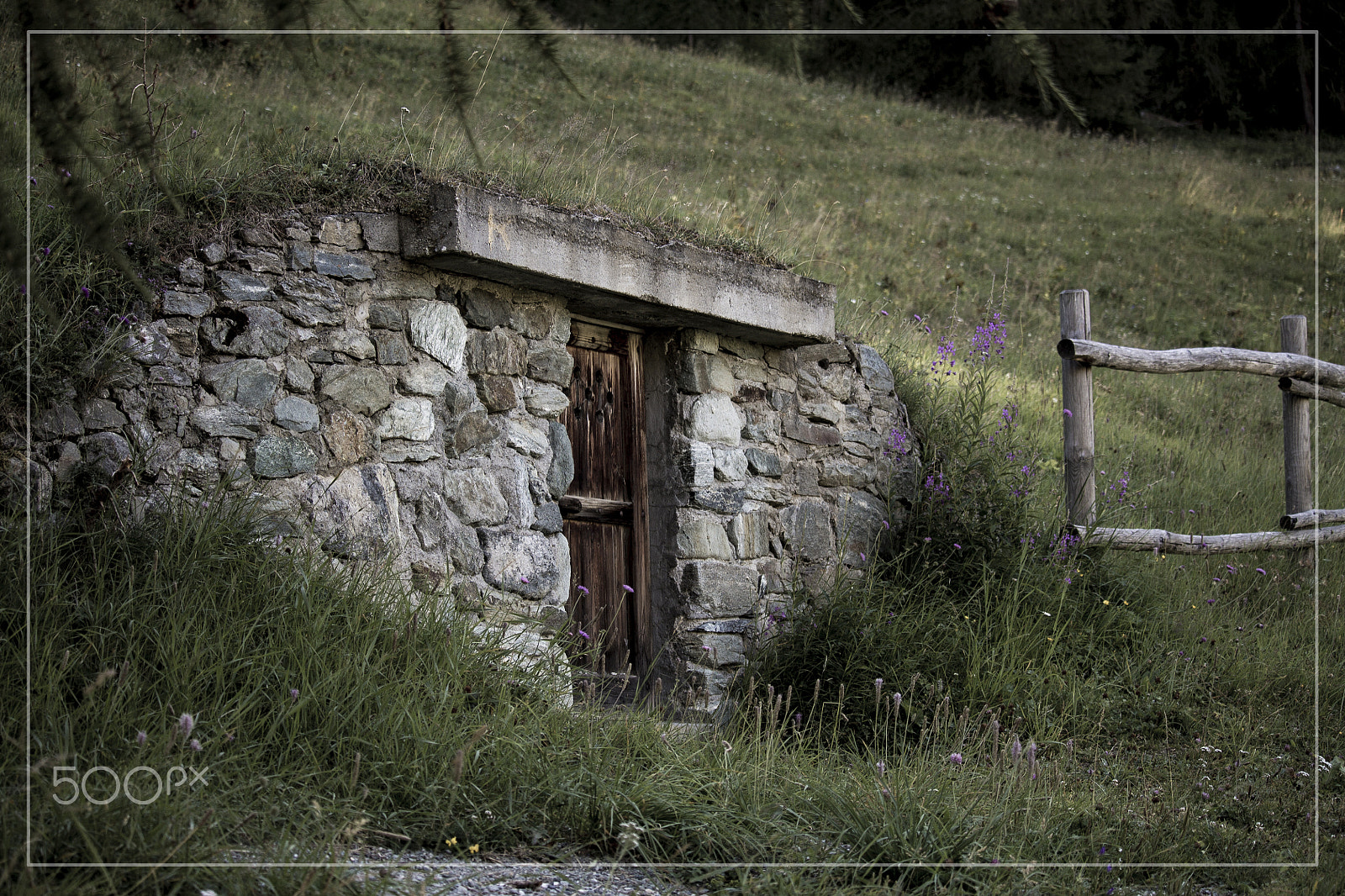 Canon EF-S 55-250mm F4-5.6 IS STM sample photo. Img photography