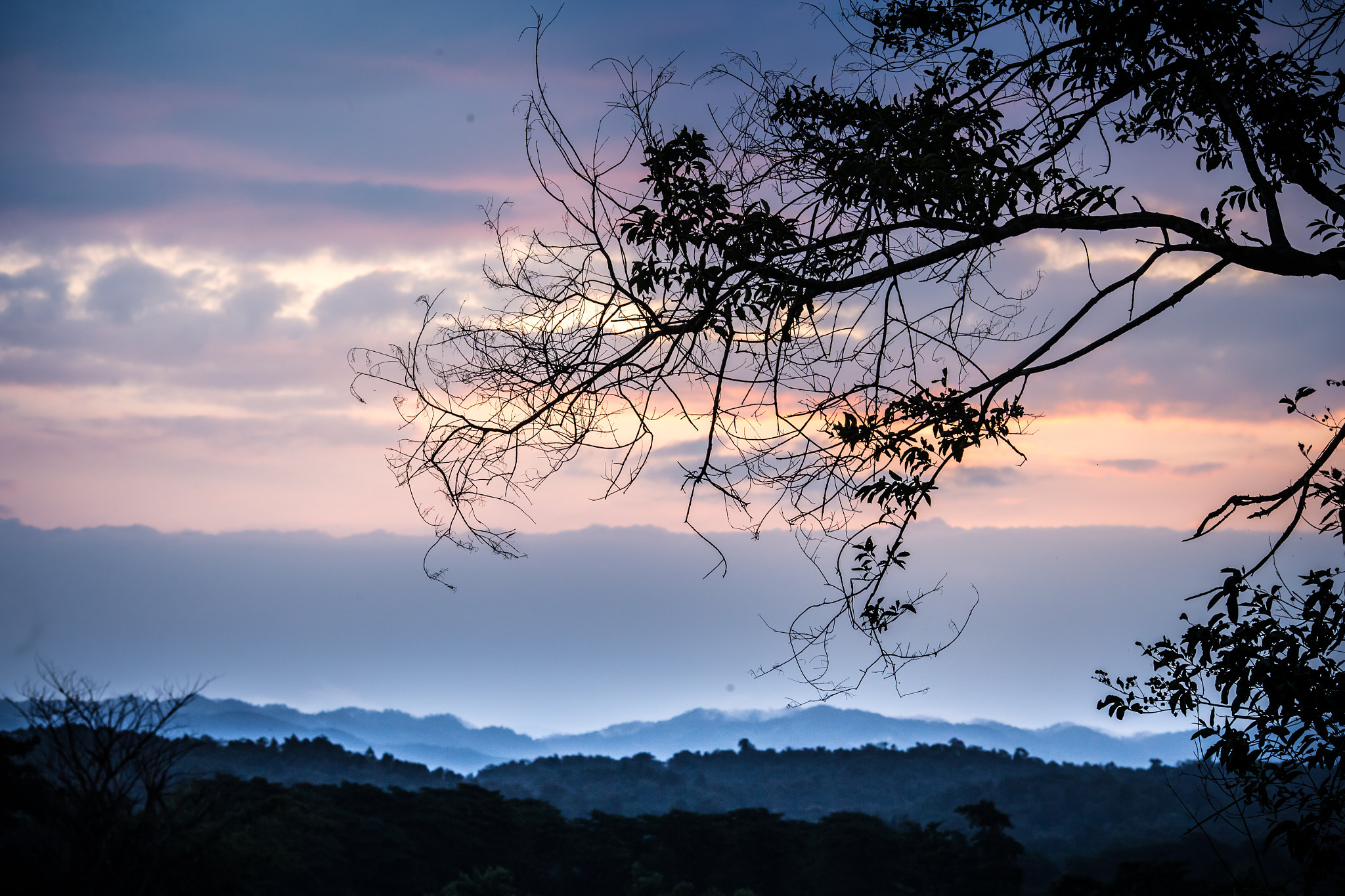 Canon EOS-1D X + Canon EF 135mm F2L USM sample photo. Morning photography