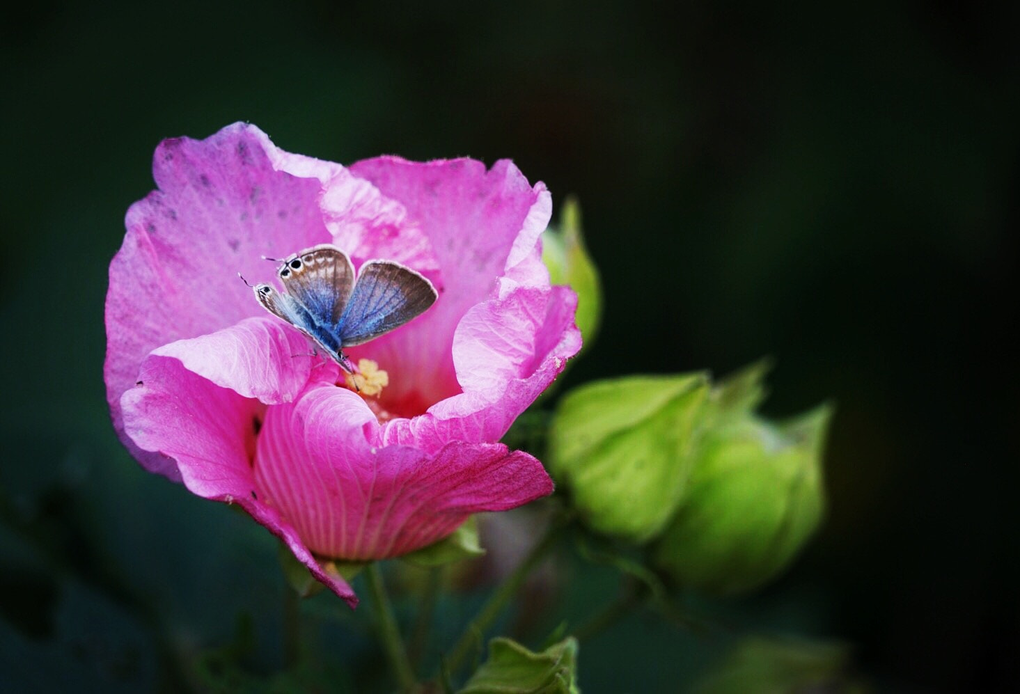 Sony FE 24-240mm F3.5-6.3 OSS sample photo. Love photography
