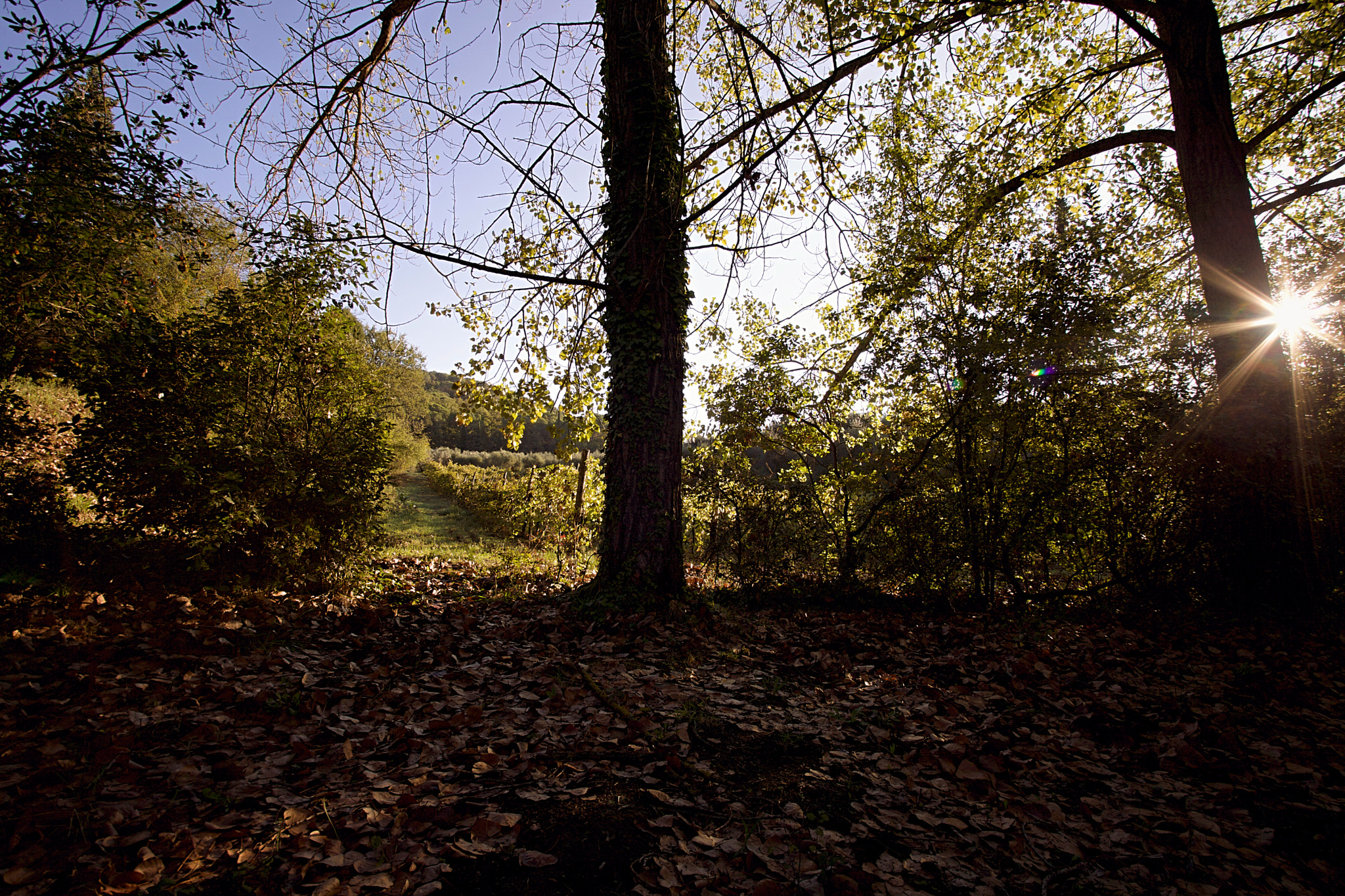 Sigma 17-35mm f/2.8-4 EX DG Aspherical HSM sample photo. Morning inside photography