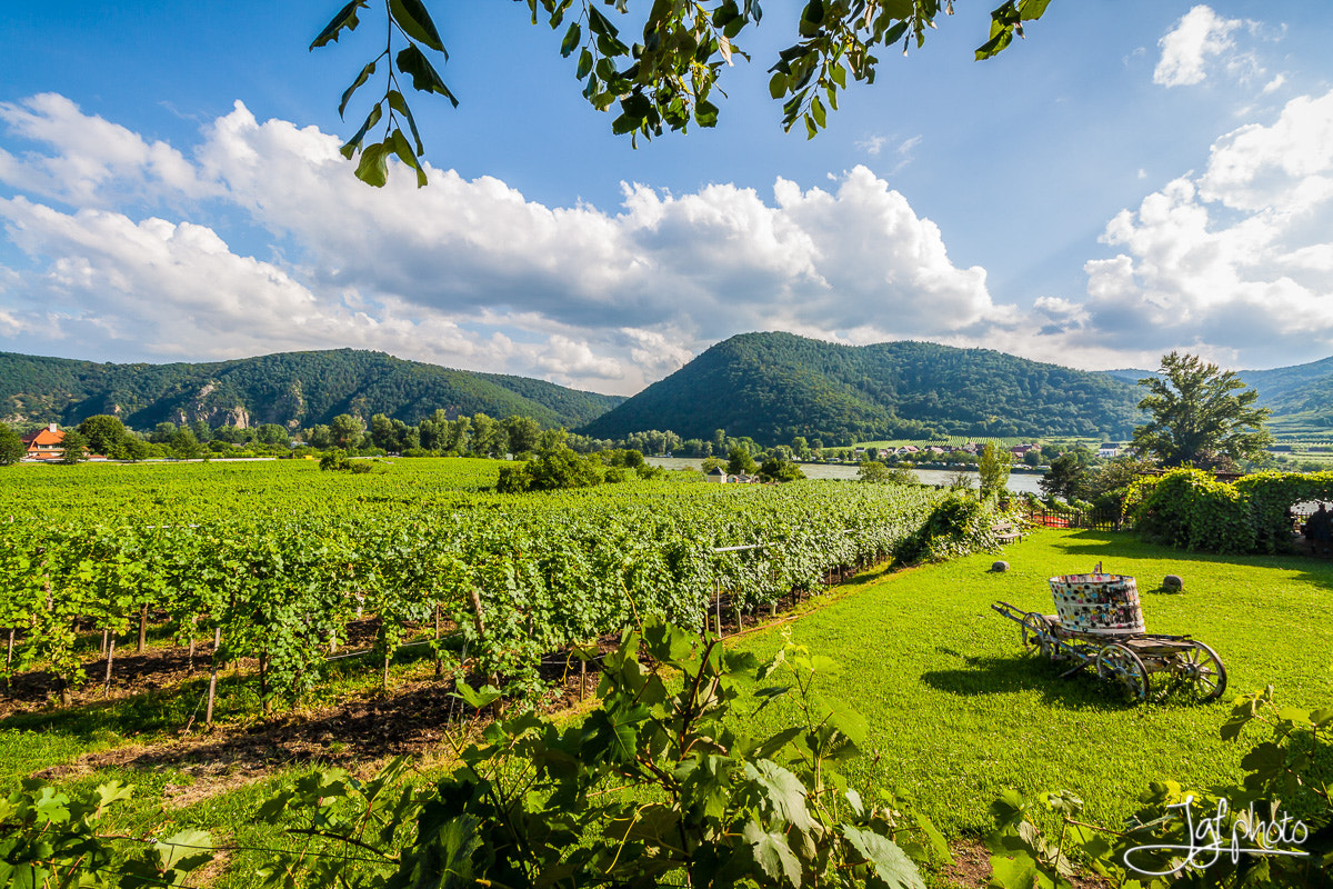 Canon EOS 50D + Canon EF-S 10-18mm F4.5–5.6 IS STM sample photo. Wachau valley ii photography