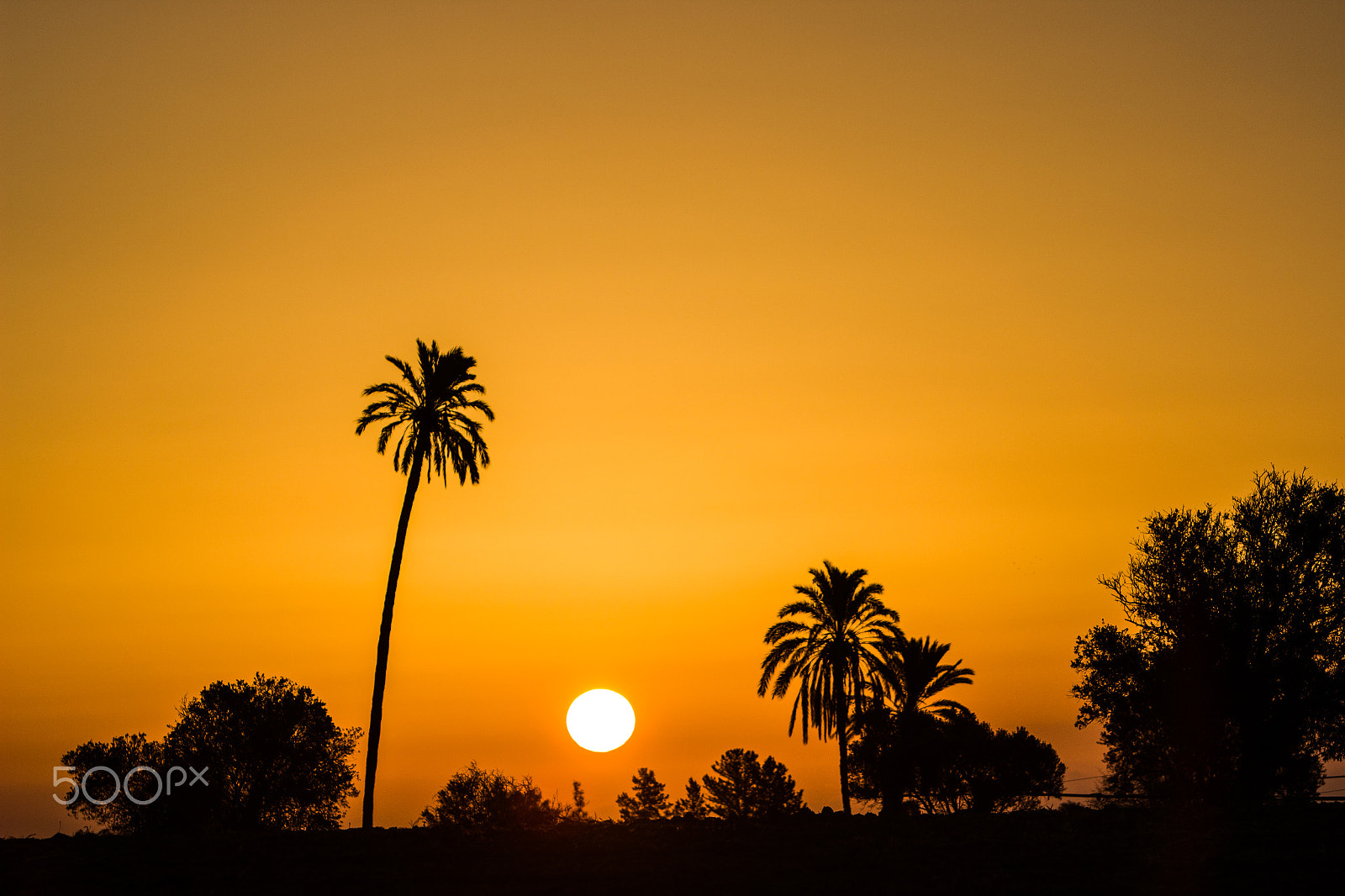 Canon EF 70-200mm F2.8L IS USM sample photo. Sunrise photography