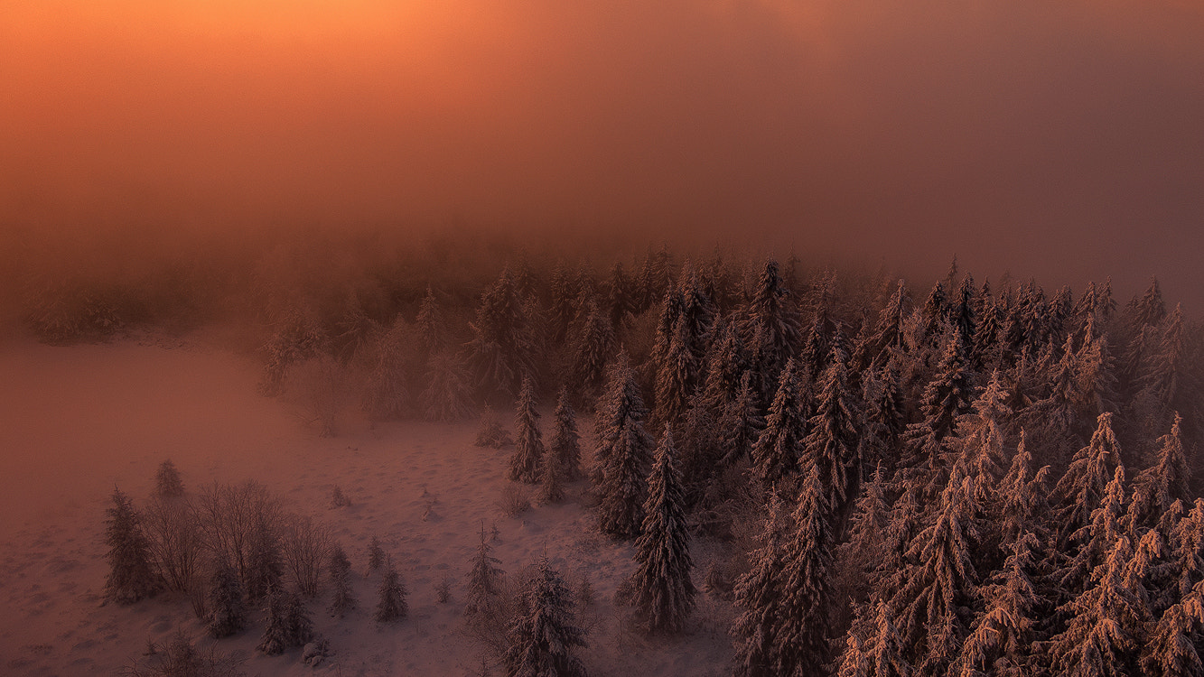 Nikon D50 sample photo. Winter morning photography