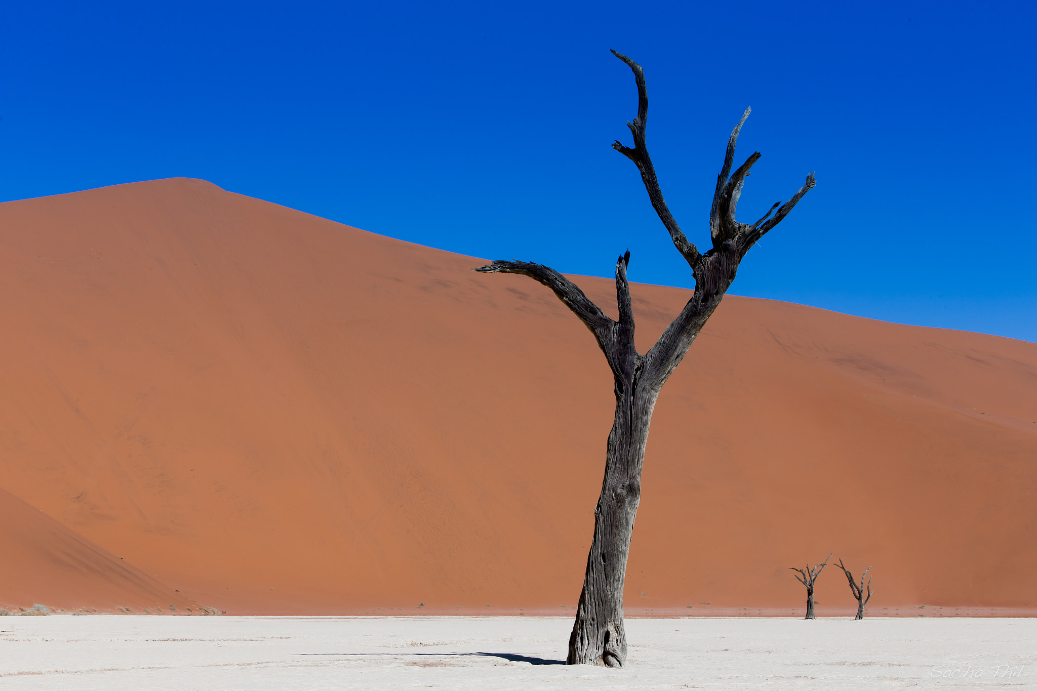 Canon EF 70-200mm F2.8L IS USM sample photo. The deadvlei photography