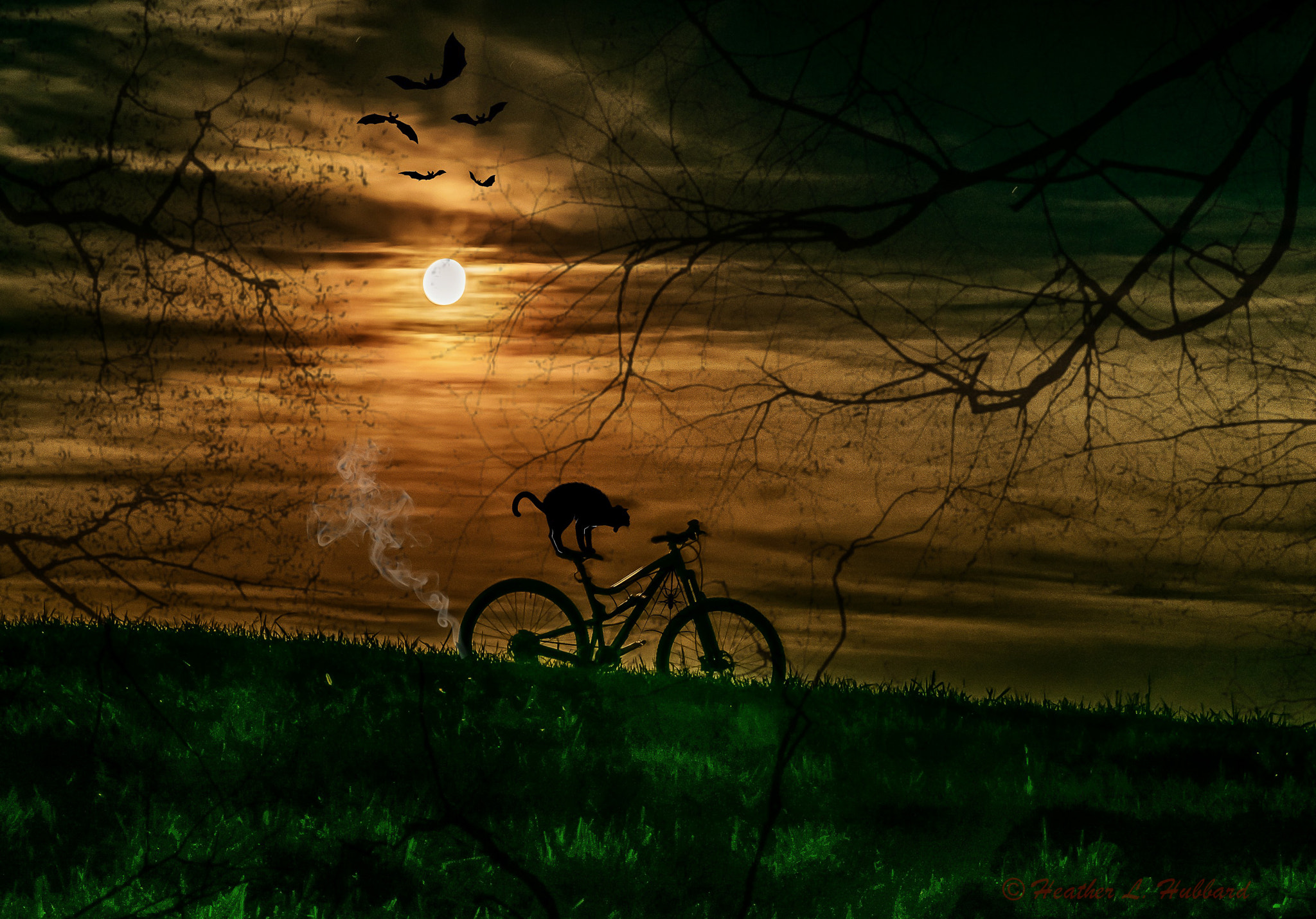 Sigma 70-300mm F4-5.6 APO DG Macro sample photo. Moonstruck bike rider photography