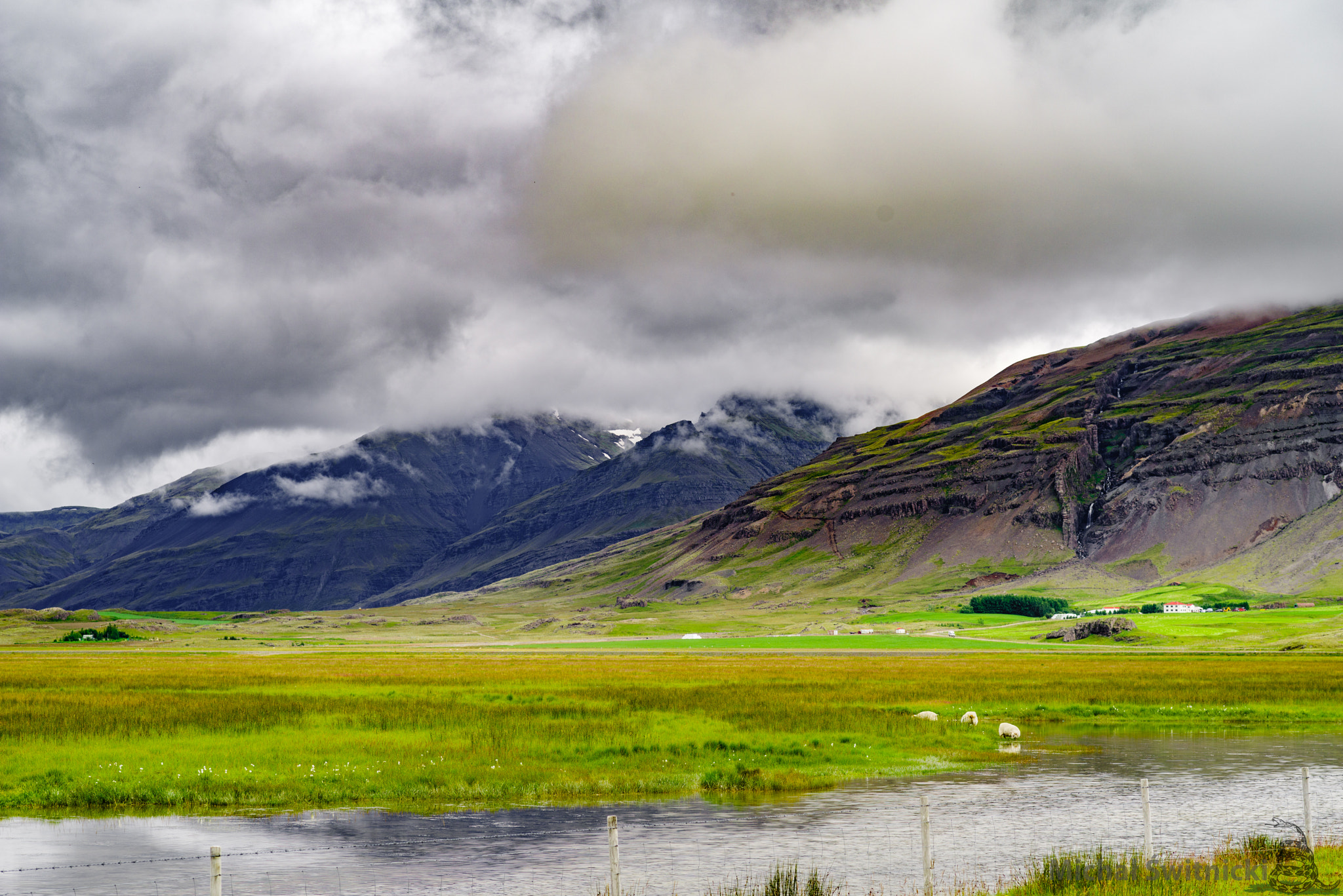 Pentax K-1 sample photo. Icelandic glacial meadow and serene sheep photography