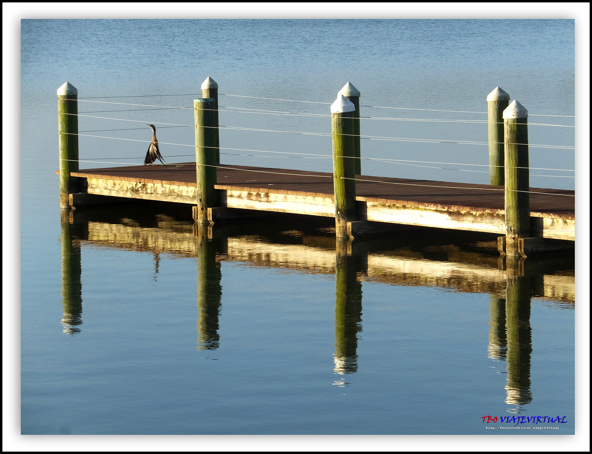 Fujifilm FinePix F850EXR sample photo. Reflection photography