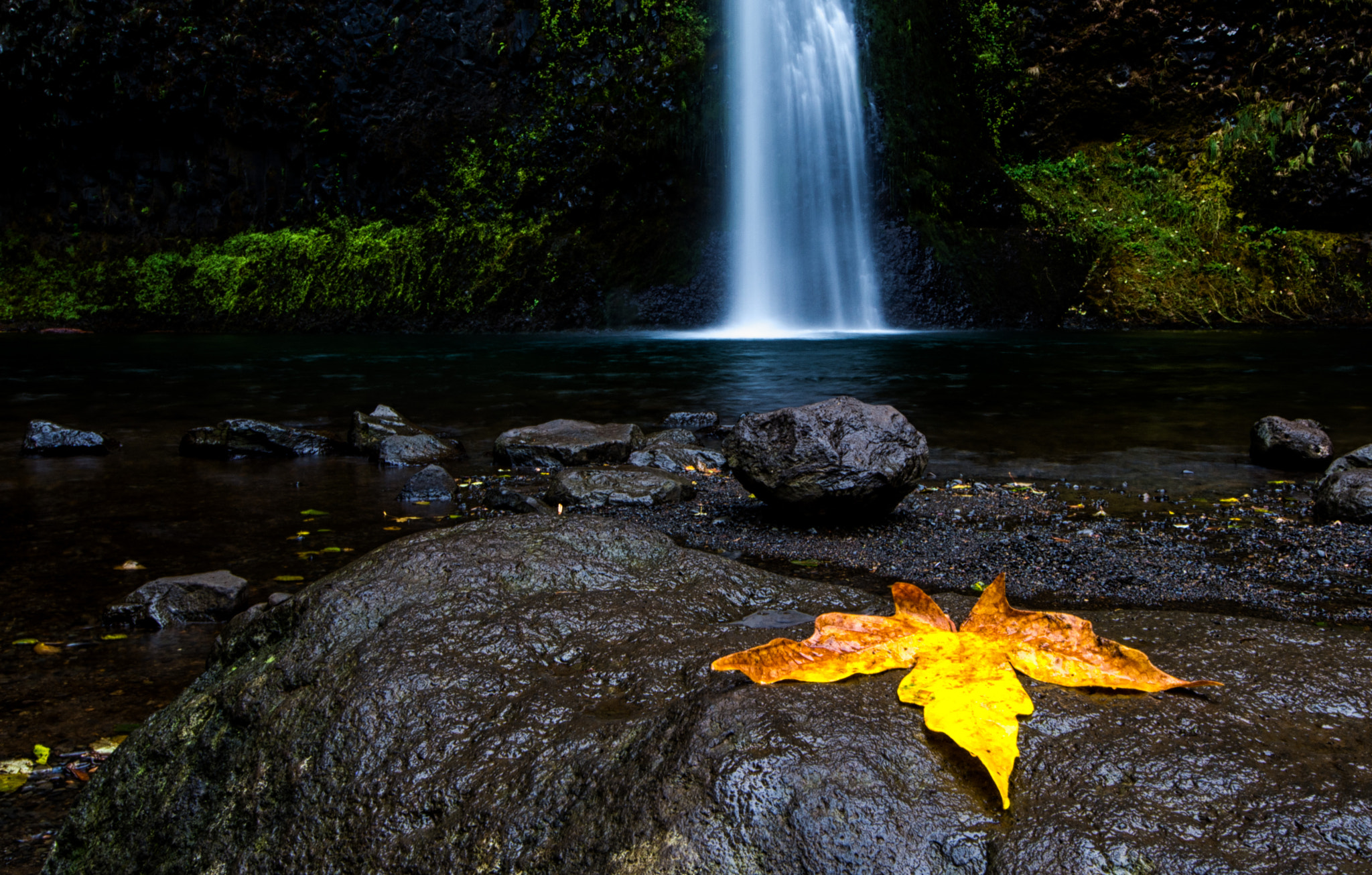 Nikon D7100 + Sigma 8-16mm F4.5-5.6 DC HSM sample photo. Leave photography