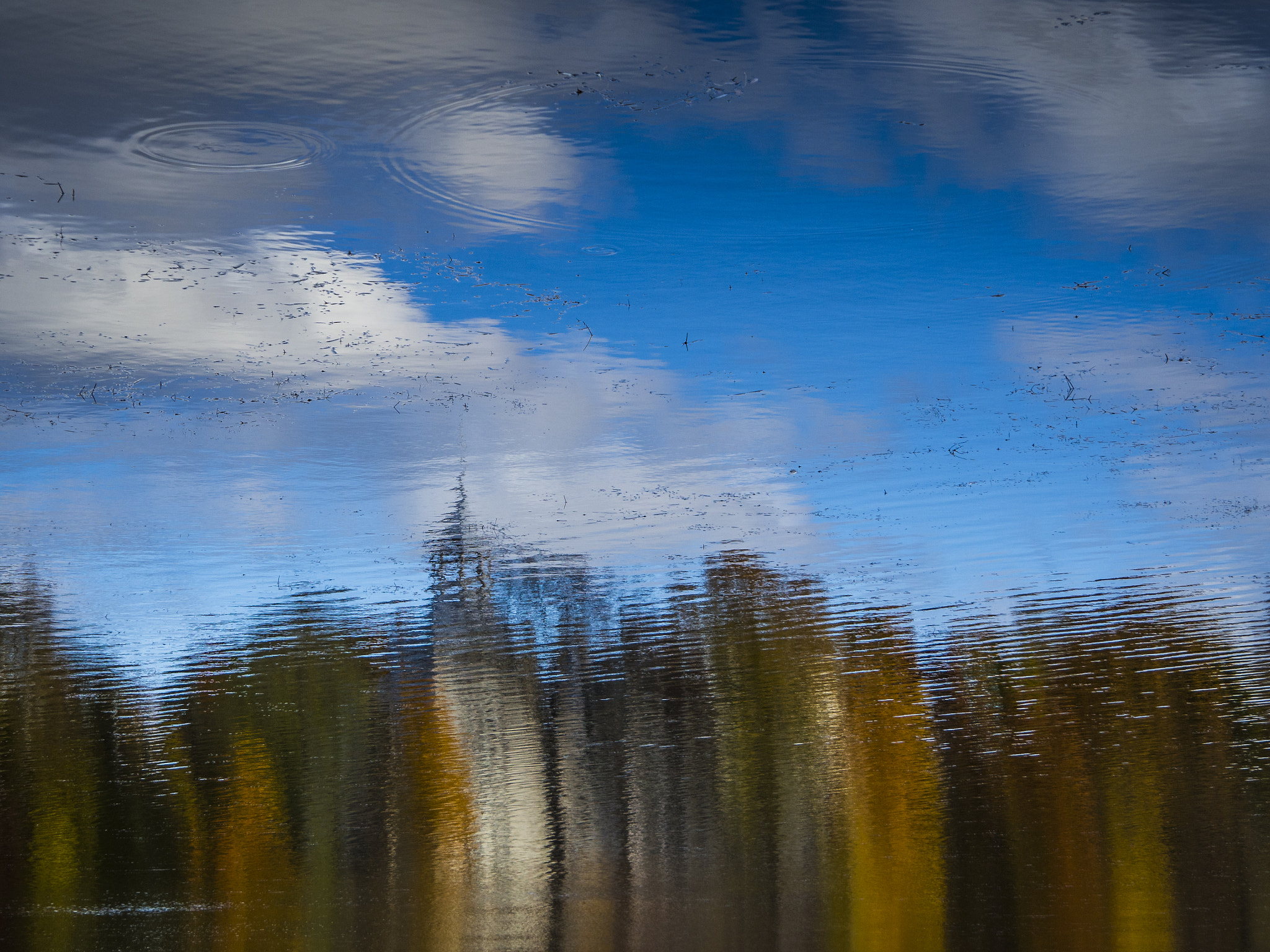 OLYMPUS M.14-150mm F4.0-5.6 II sample photo. Spooky reflection photography