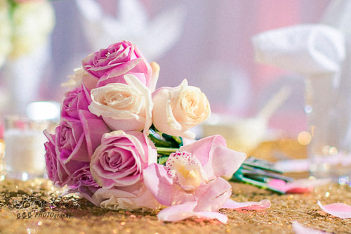 Canon EF 50mm F1.2L USM sample photo. Roses photography