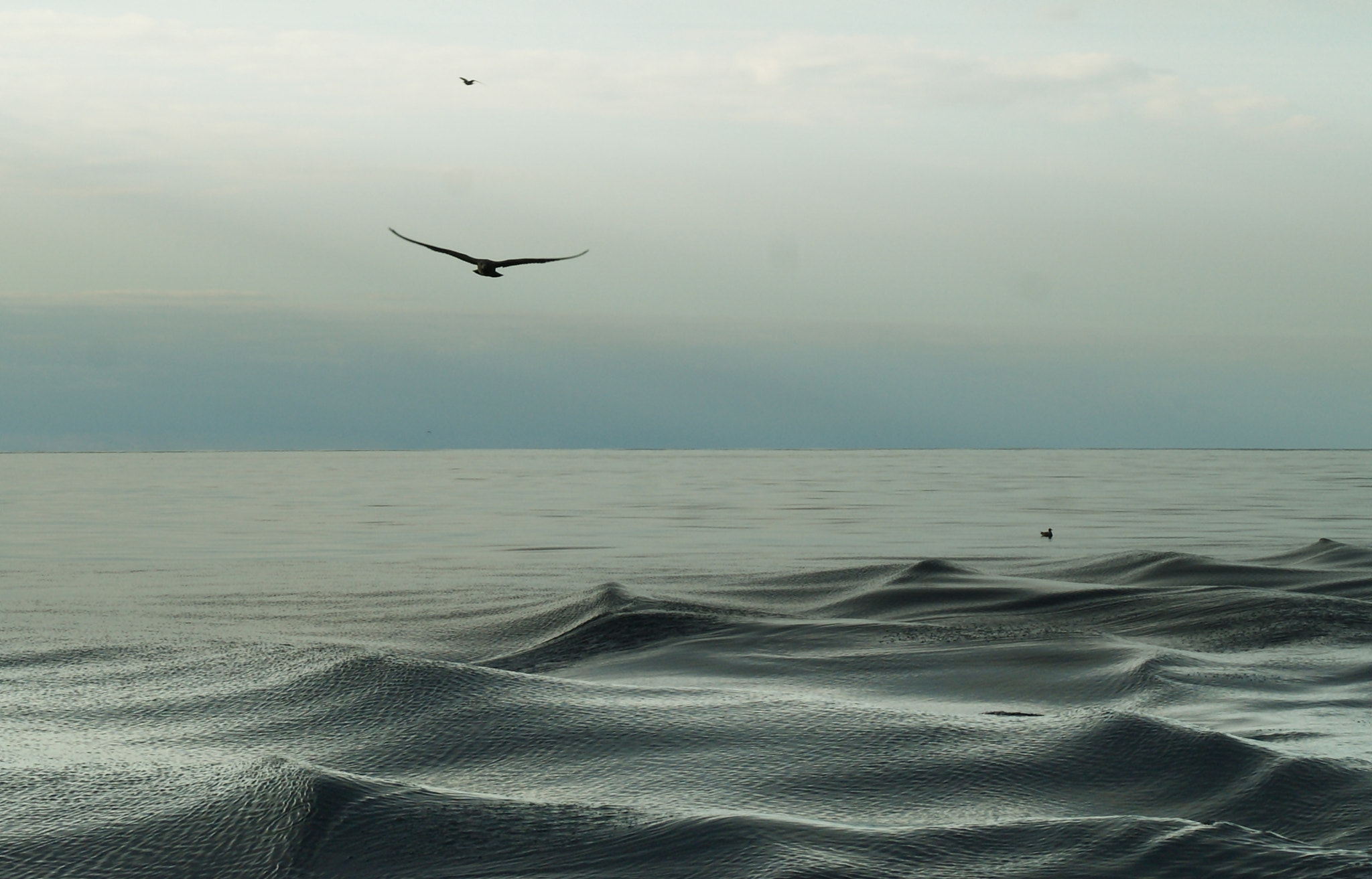 Sony Alpha DSLR-A290 sample photo. I  ❤ the ocean photography