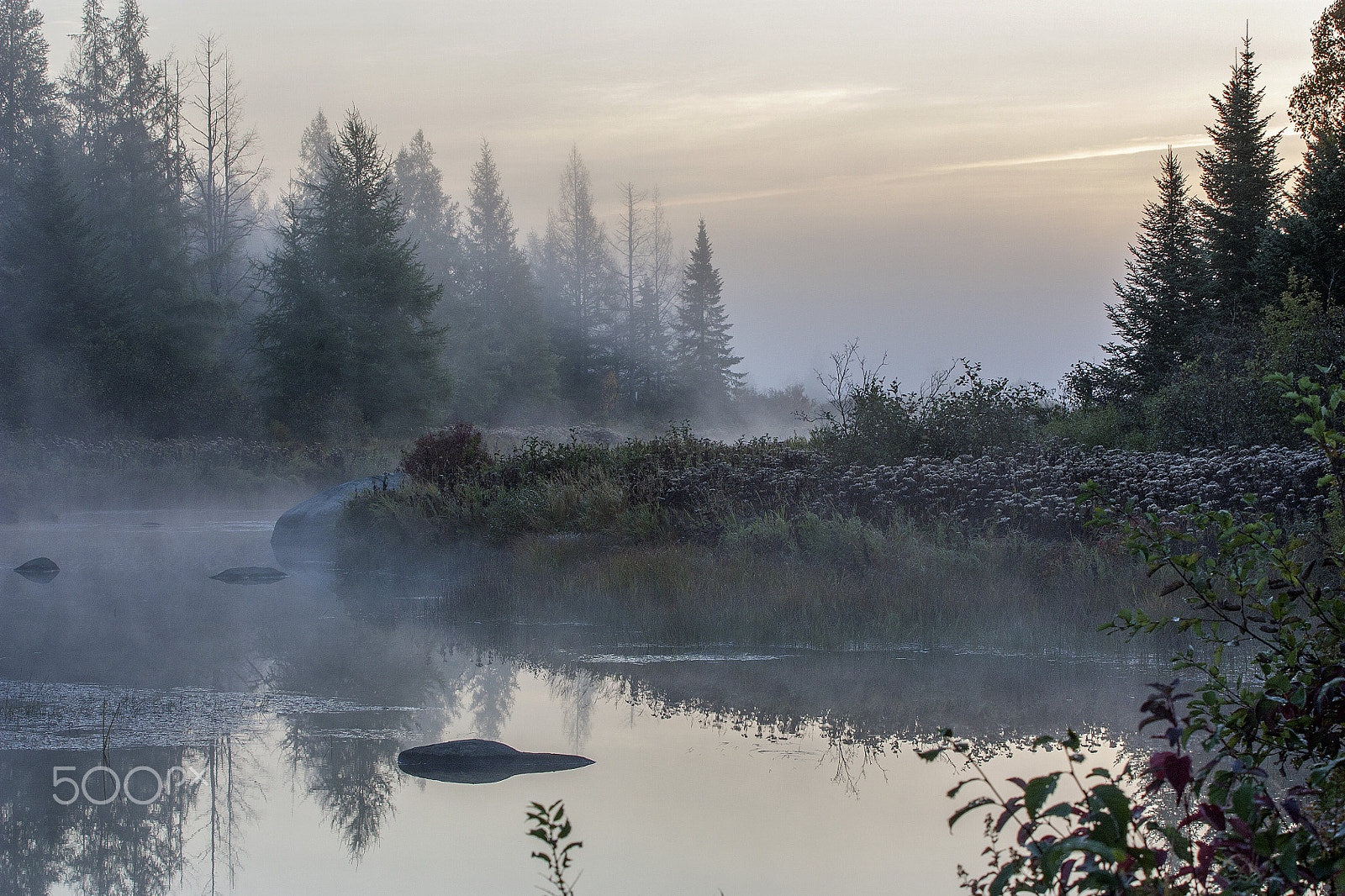 Canon EOS 450D (EOS Rebel XSi / EOS Kiss X2) sample photo. Fall morning fog photography