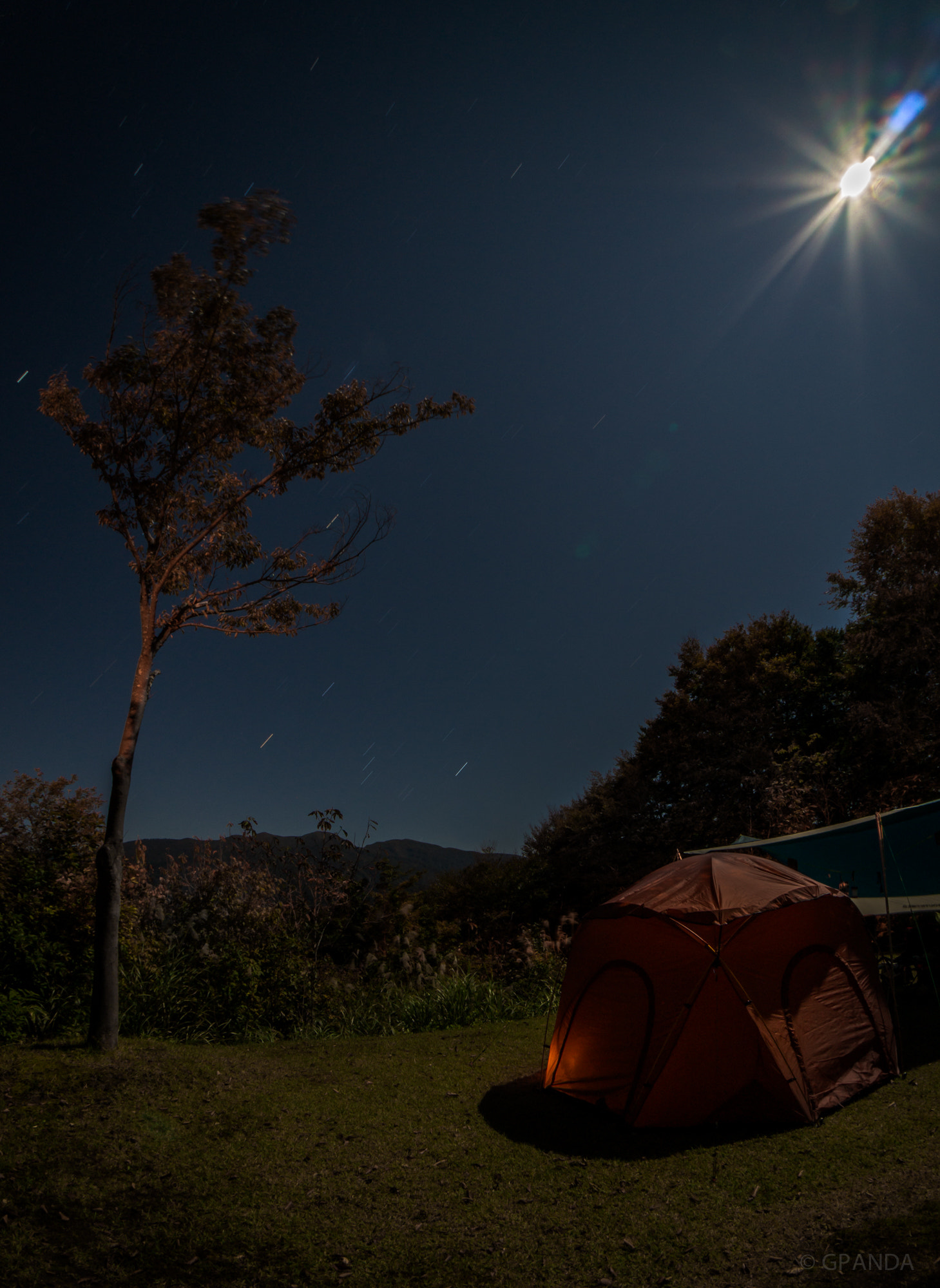 Sony Alpha NEX-5T + Sony E 16mm F2.8 sample photo. Go camping on a moonlight night photography