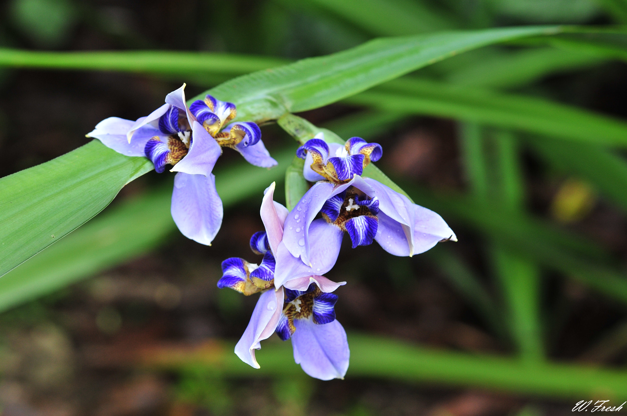 Nikon D300 sample photo. New photography