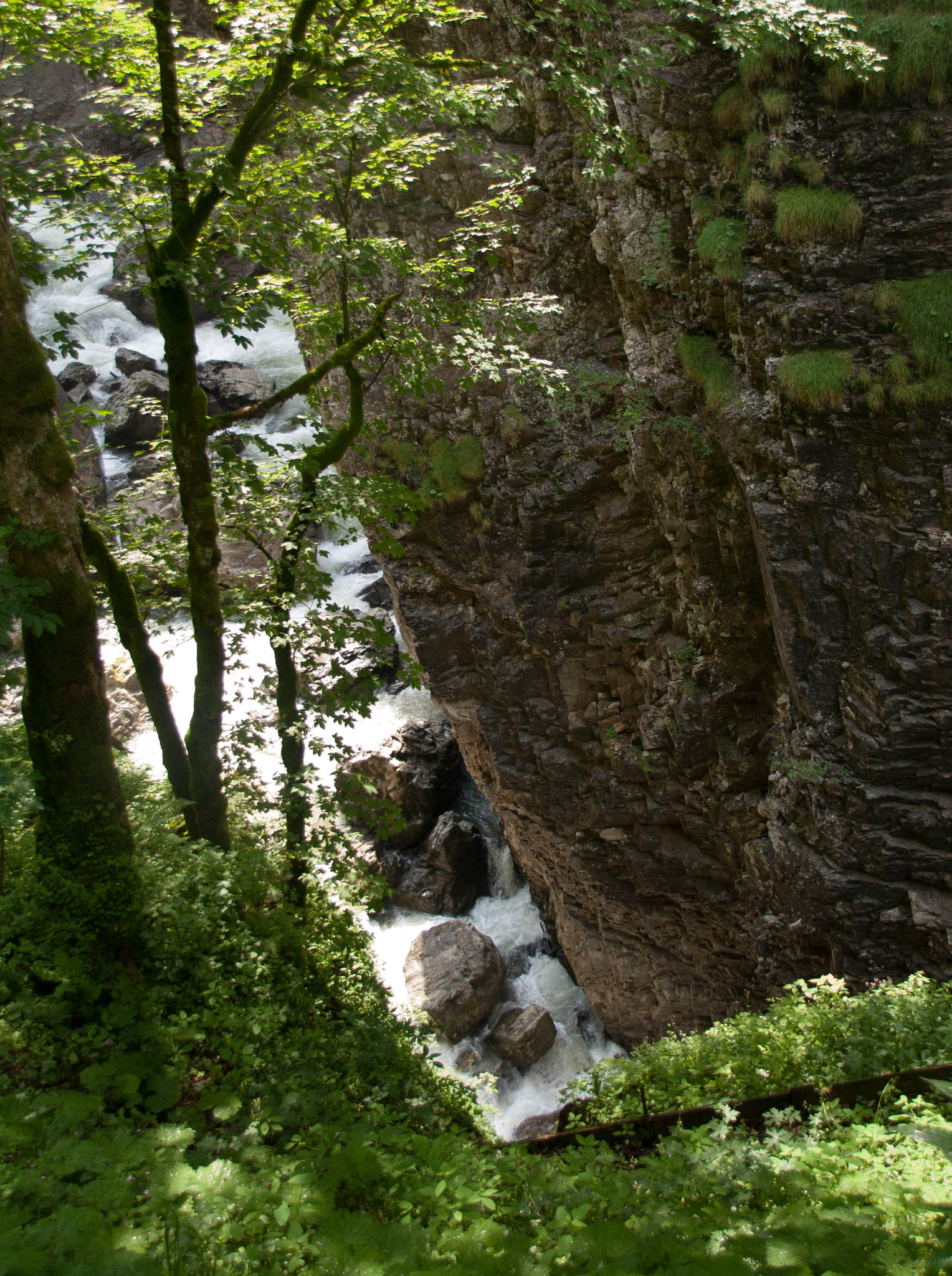 Sigma 18-250mm F3.5-6.3 DC OS HSM sample photo. Breitachklamm von oben photography