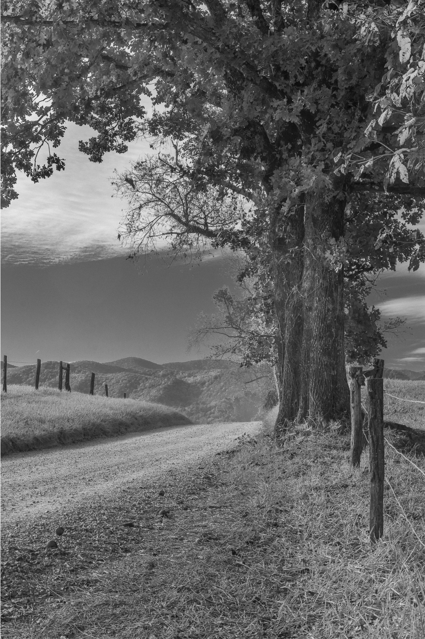 Sigma 18-50mm F3.5-5.6 DC sample photo. Hyatt lane, cades cove  photography